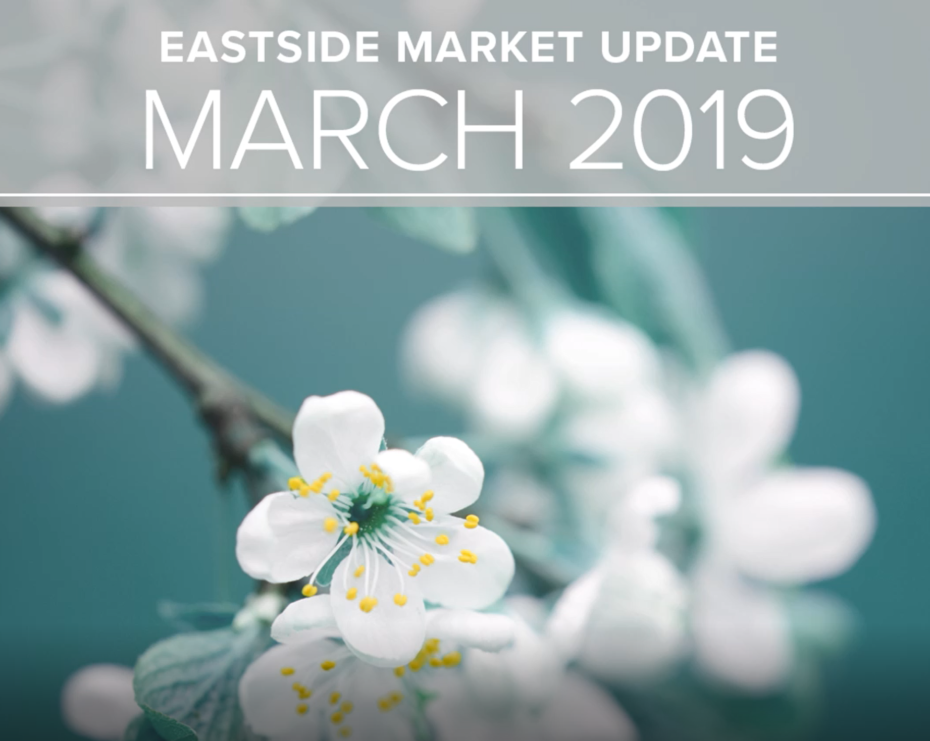 Local Market Update – March 2019