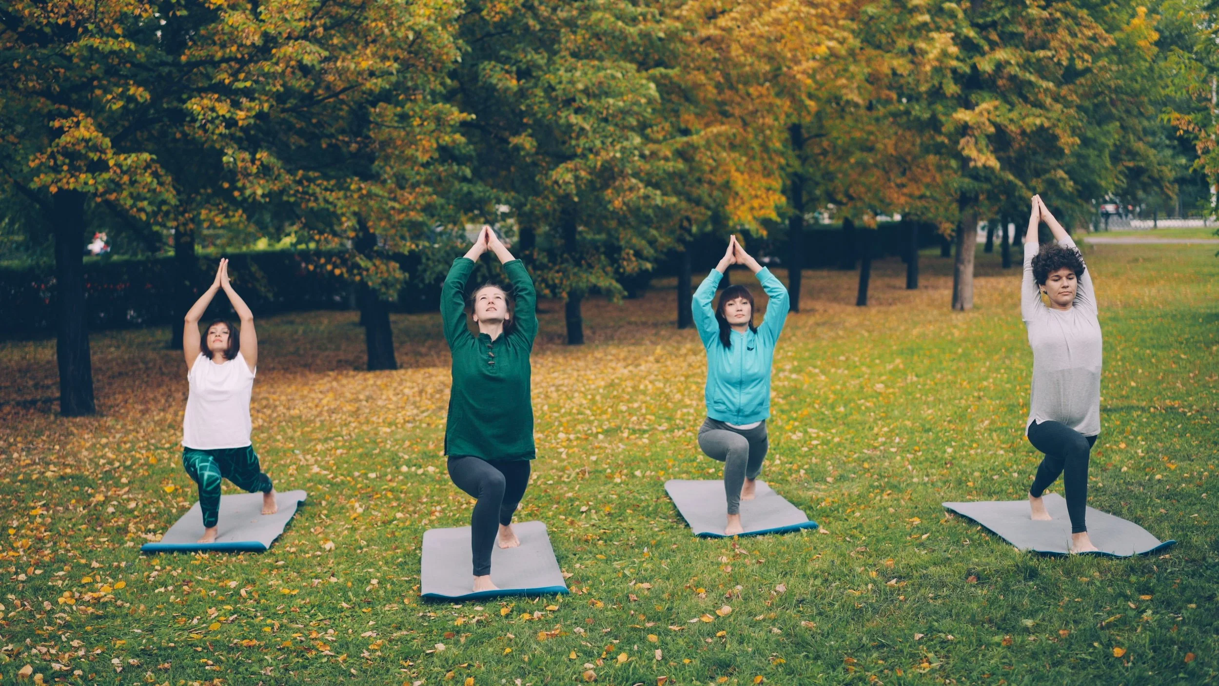 Bedford Yoga and Wellbeing Festival - Sensory regulation Hub 