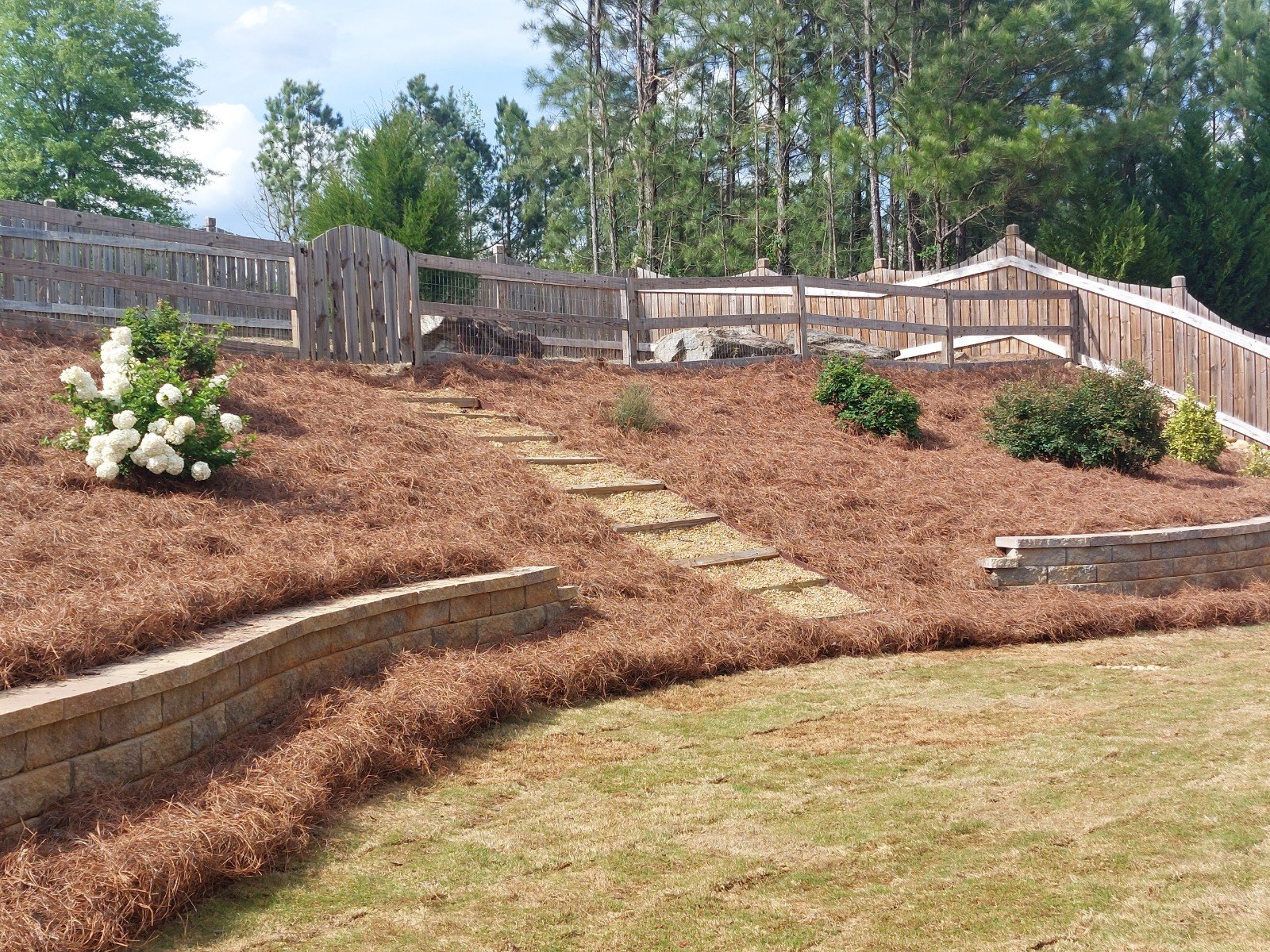 LANDSCAPE DESIGN.jpeg