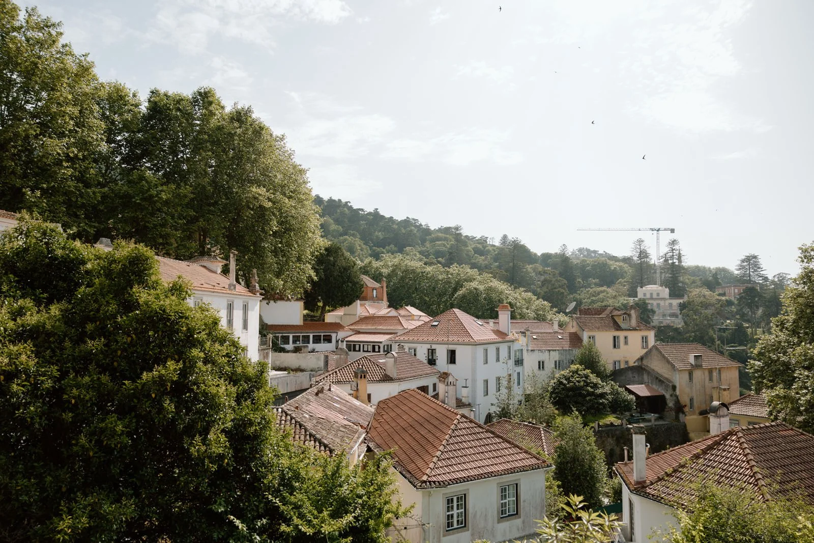 View over Sintra Village and the surrounding forests from Igreja de São Martinho, one of the most romantic locations for a surprise proposal in Sintra, Portugal.