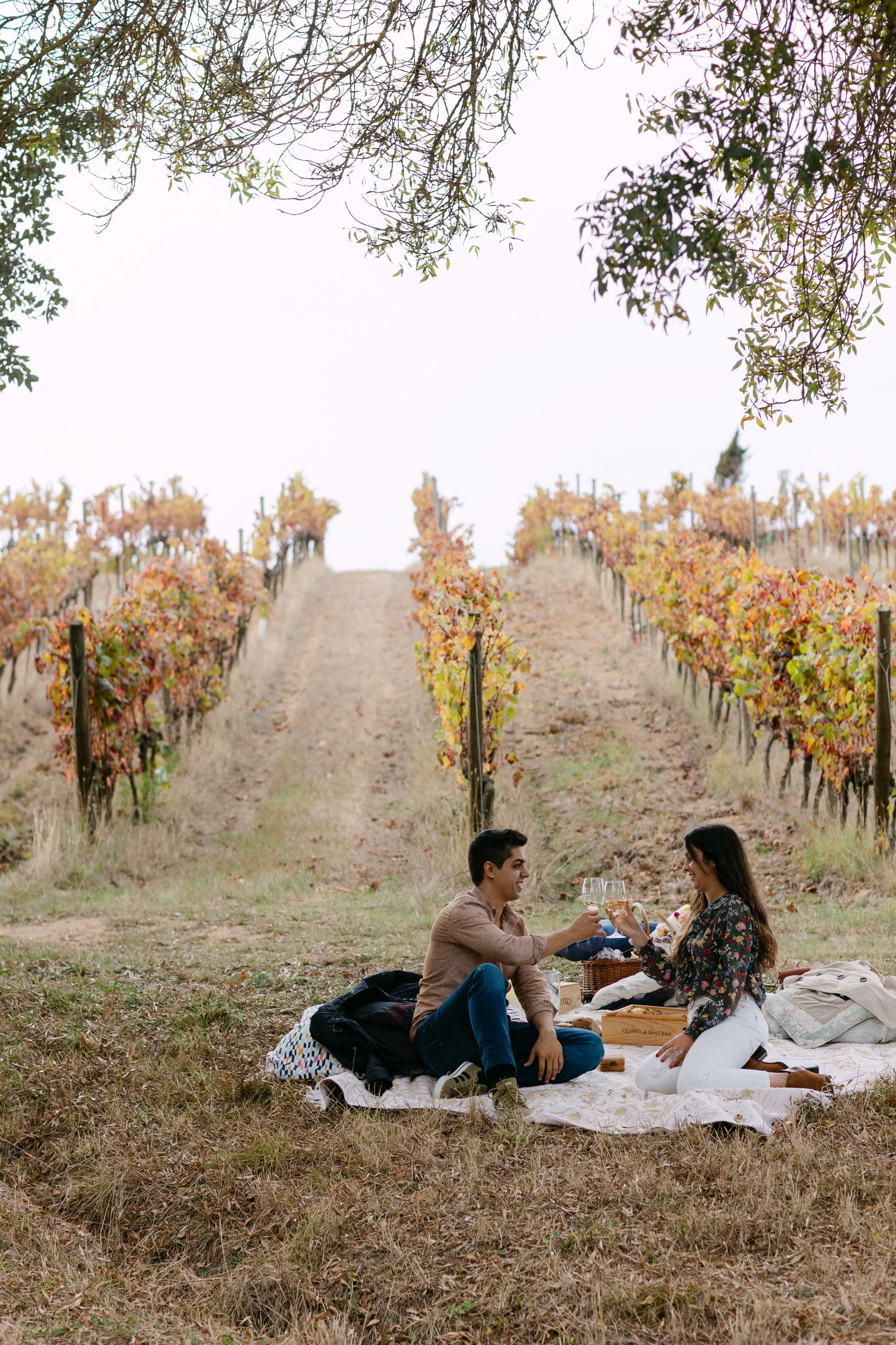 Romantic picnic proposal setup between vineyards at Quinta de Santana