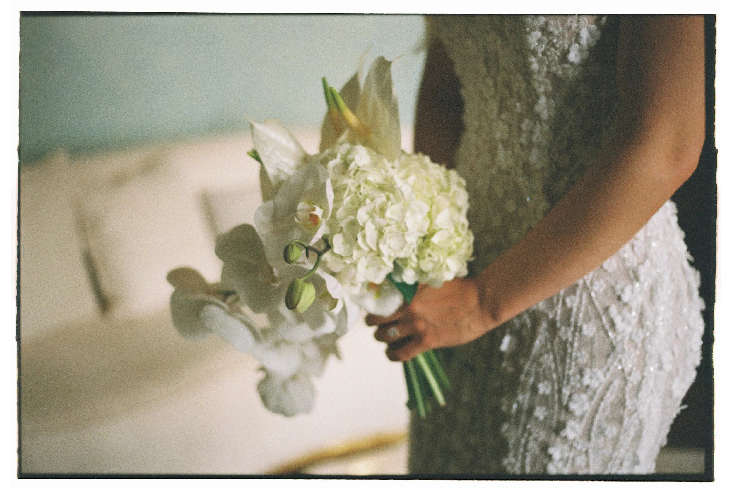 Tânia Carvalho-208.jpg