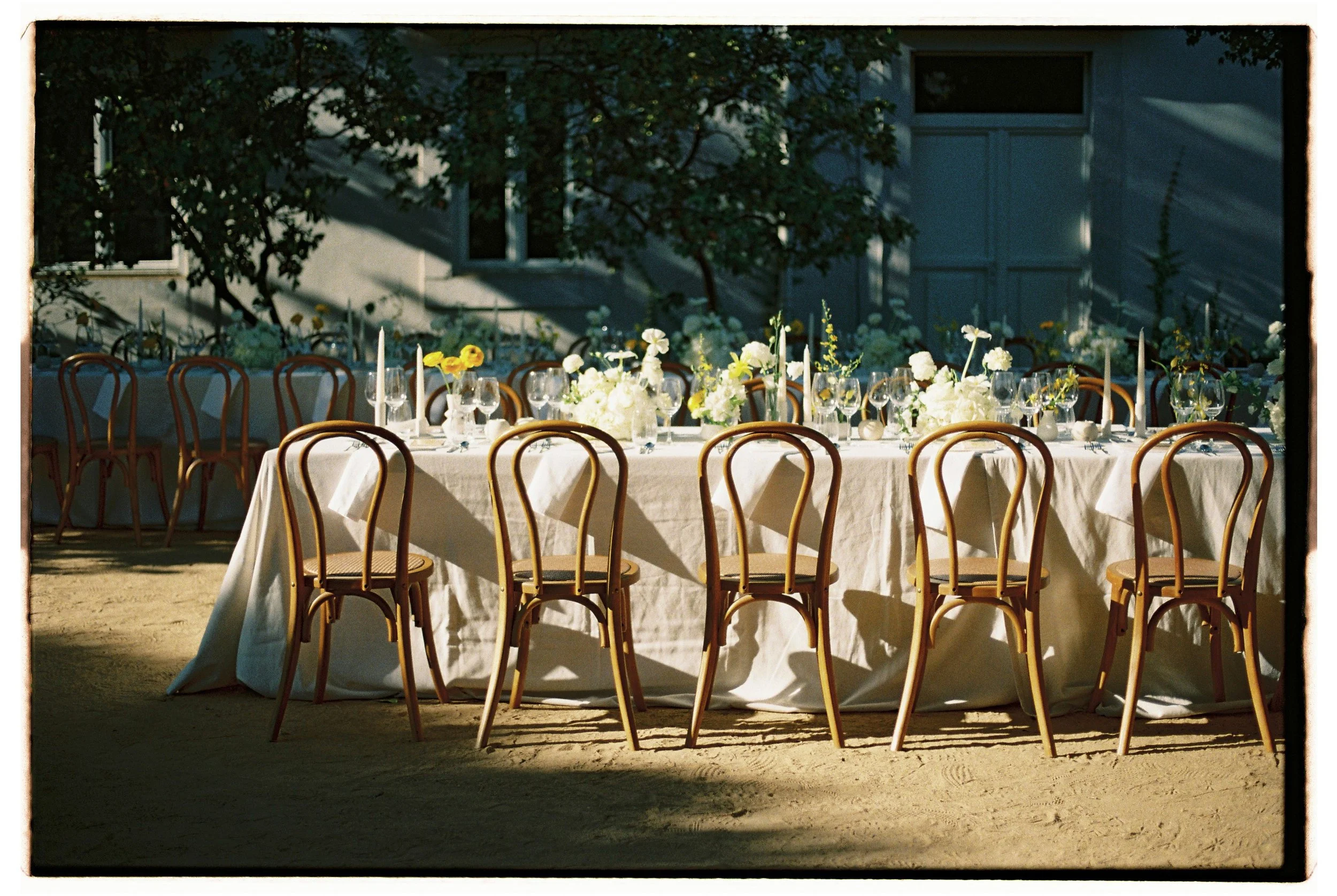 Tânia Carvalho-196.jpg