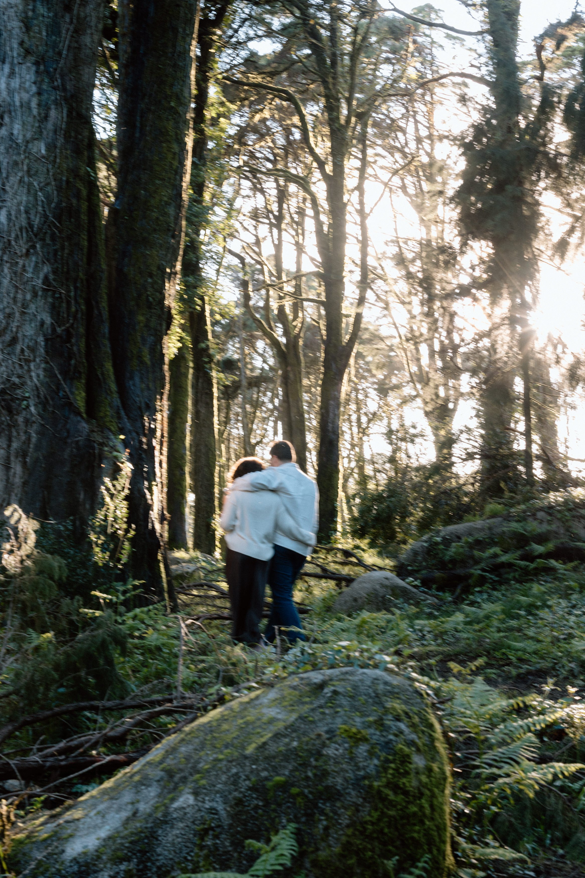 Couple embracing in forest at sunset during Sintra engagement session