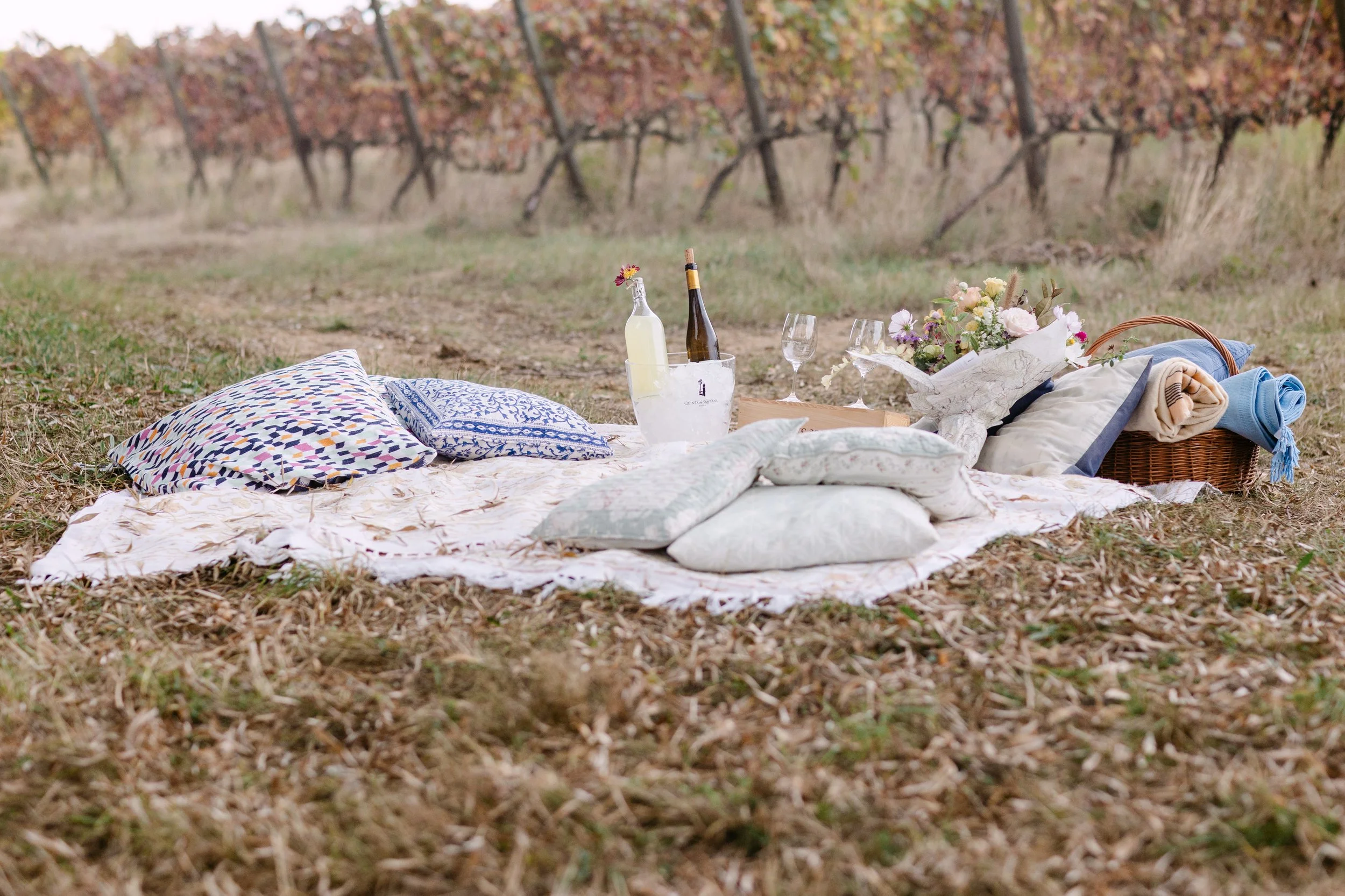 Romantic picnic setup for surprise proposal at Quinta de Santana vineyard