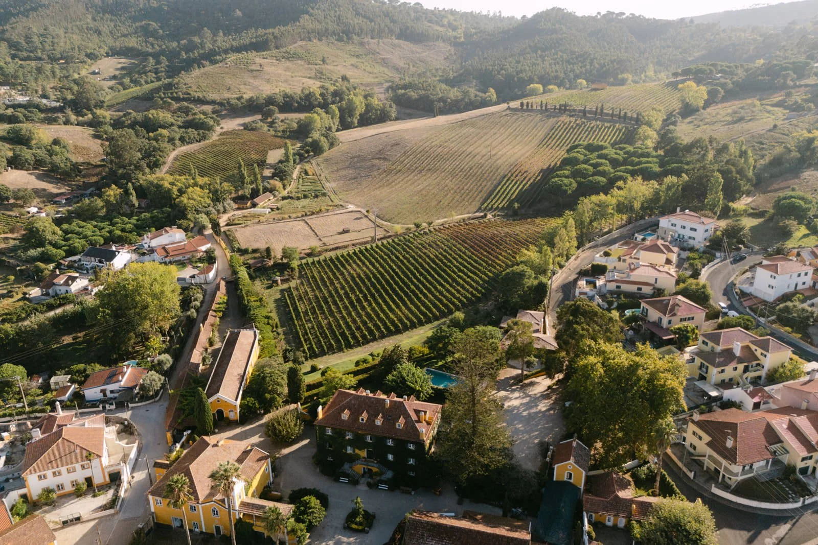 Aerial view of Quinta de Sant’Ana in Gradil, Portugal, surrounded by rolling vineyards and countryside in warm evening light, a peaceful proposal location near Lisbon.