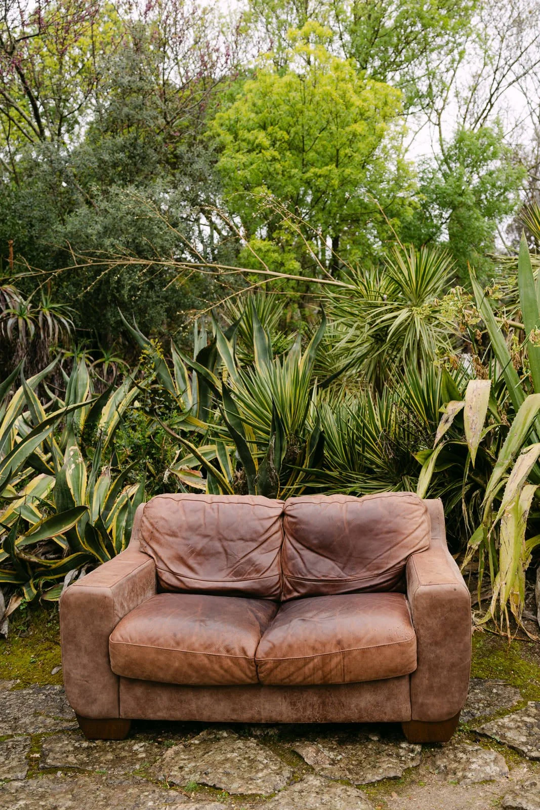 The couple's first sofa placed in Tapada das Necessidades before the proposal