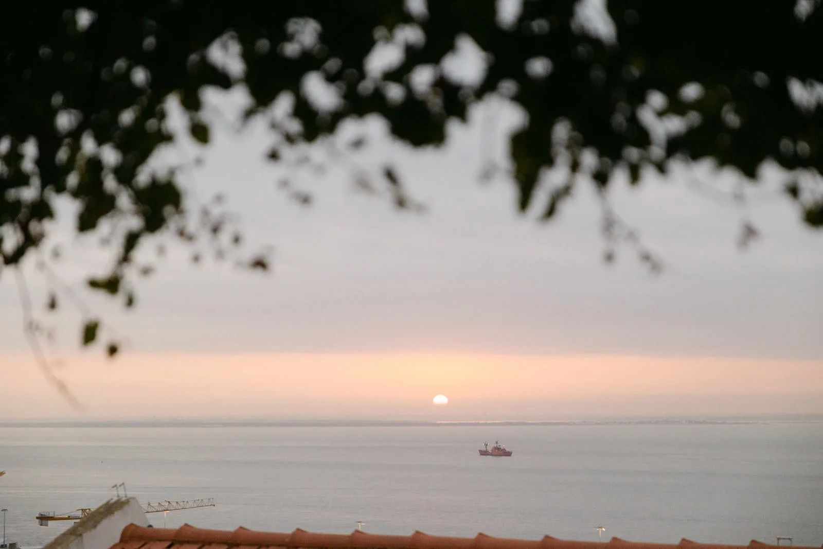 Sunset views from Miradouro de Santa Luzia, a popular proposal location in Lisbon, Portugal