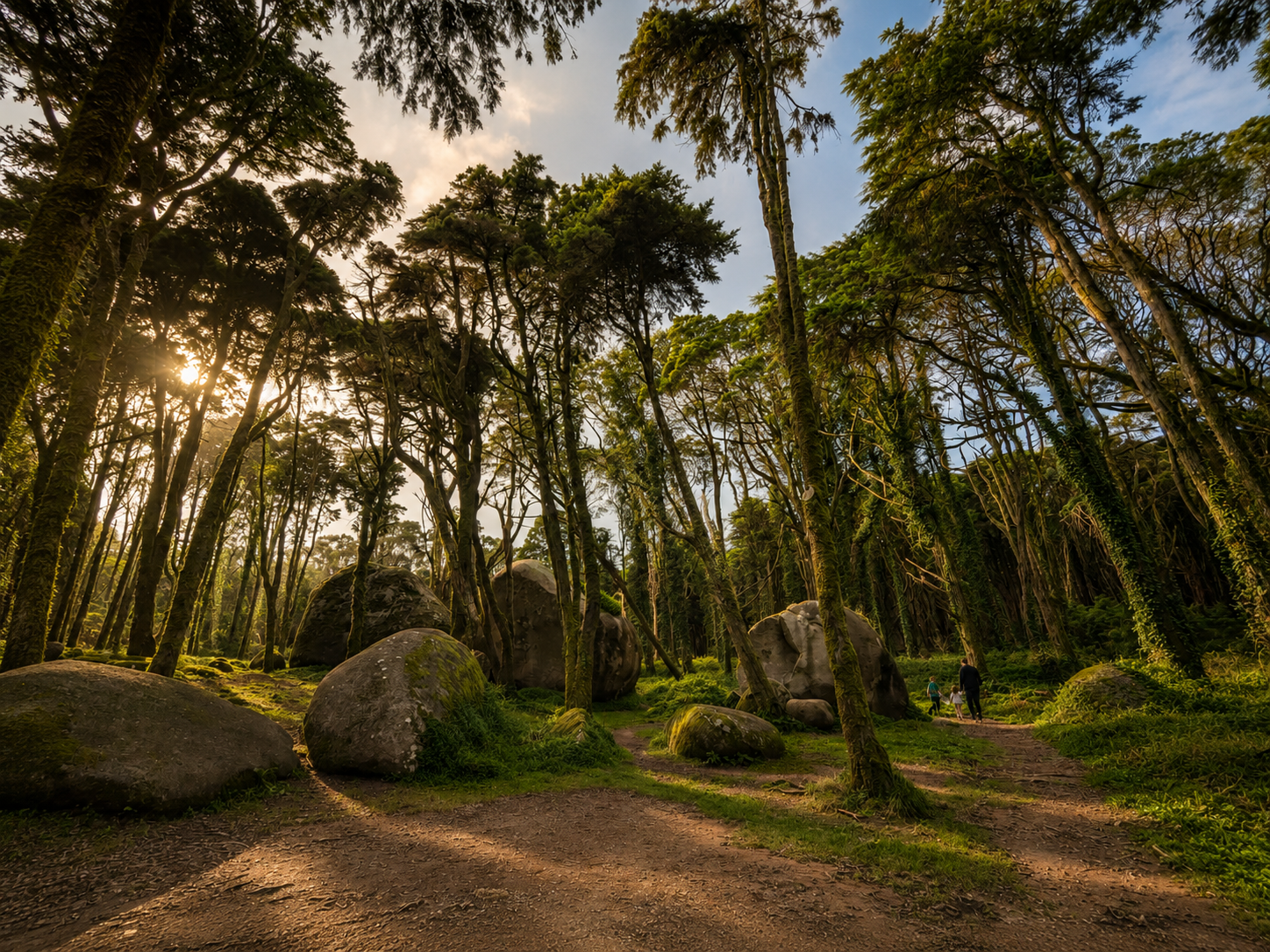 The forests of Peninha in Sintra featuring giant boulders, dramatic trees and golden light, ideal for adventurous engagement photography.