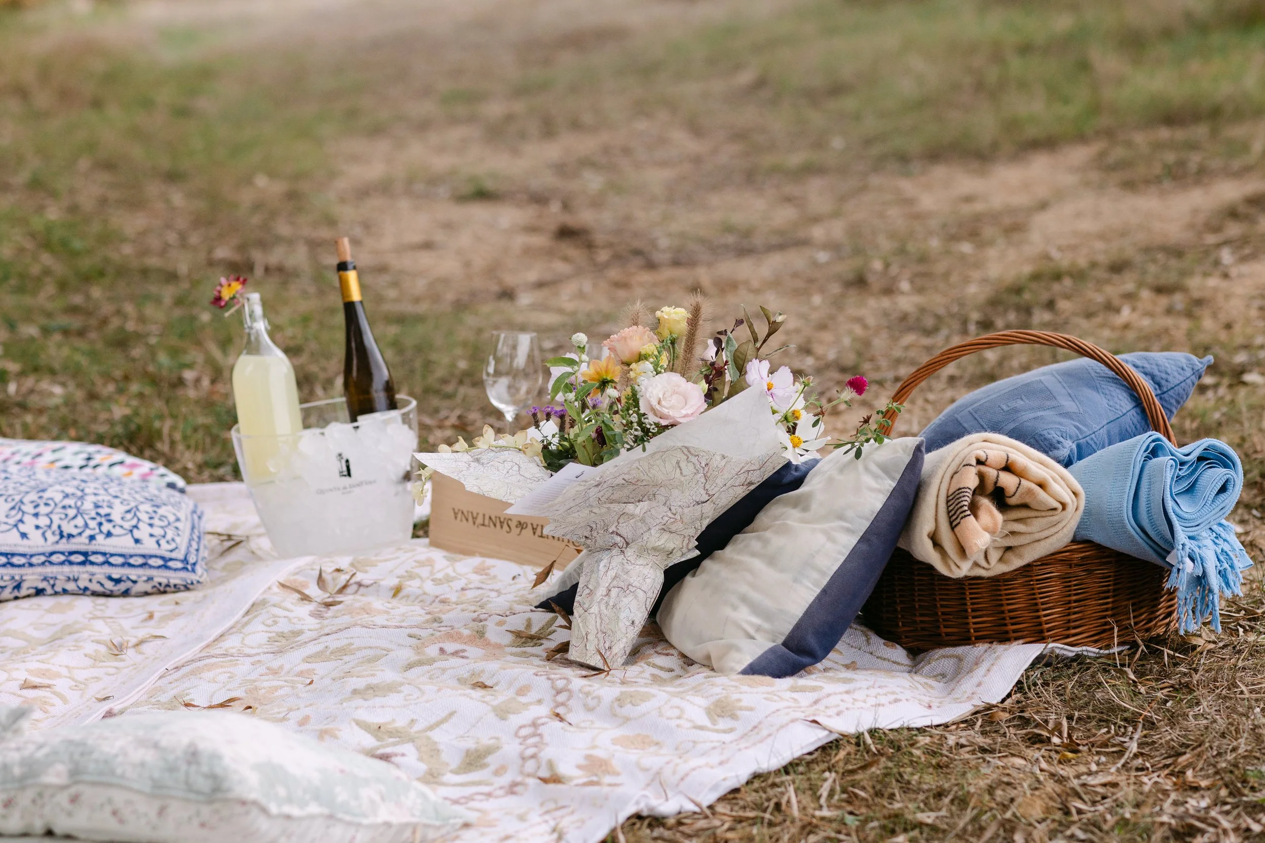 Romantic proposal picnic setup at Quinta de Santana in Portugal