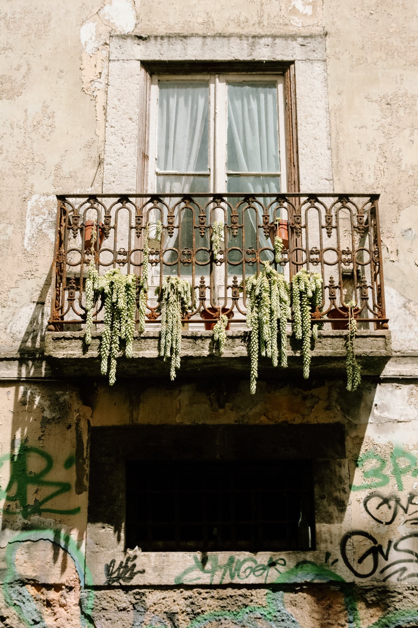 Historic Lisbon balcony with plants and textured architecture in Portugal
