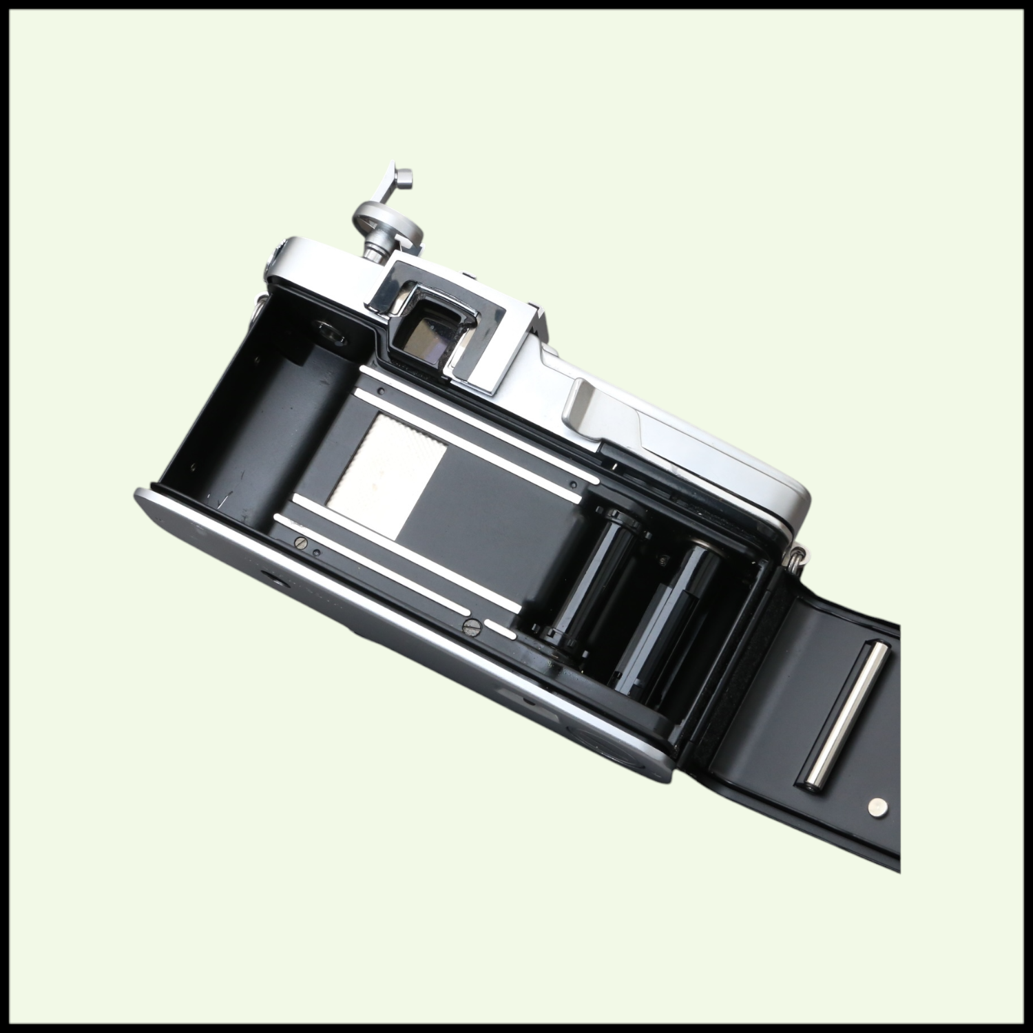Photoroom_028_20250107_173715.png