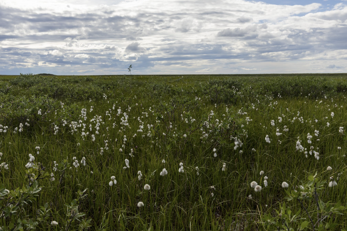 Biden’s approval of the Willow Project is a slap in the face to Native communities everywhere