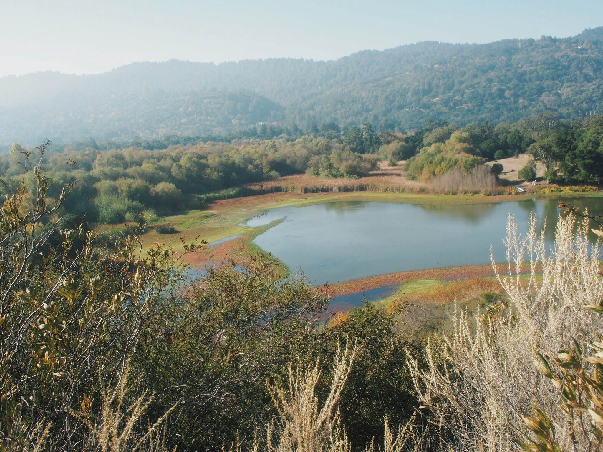 Jasper Ridge Biological Preserve