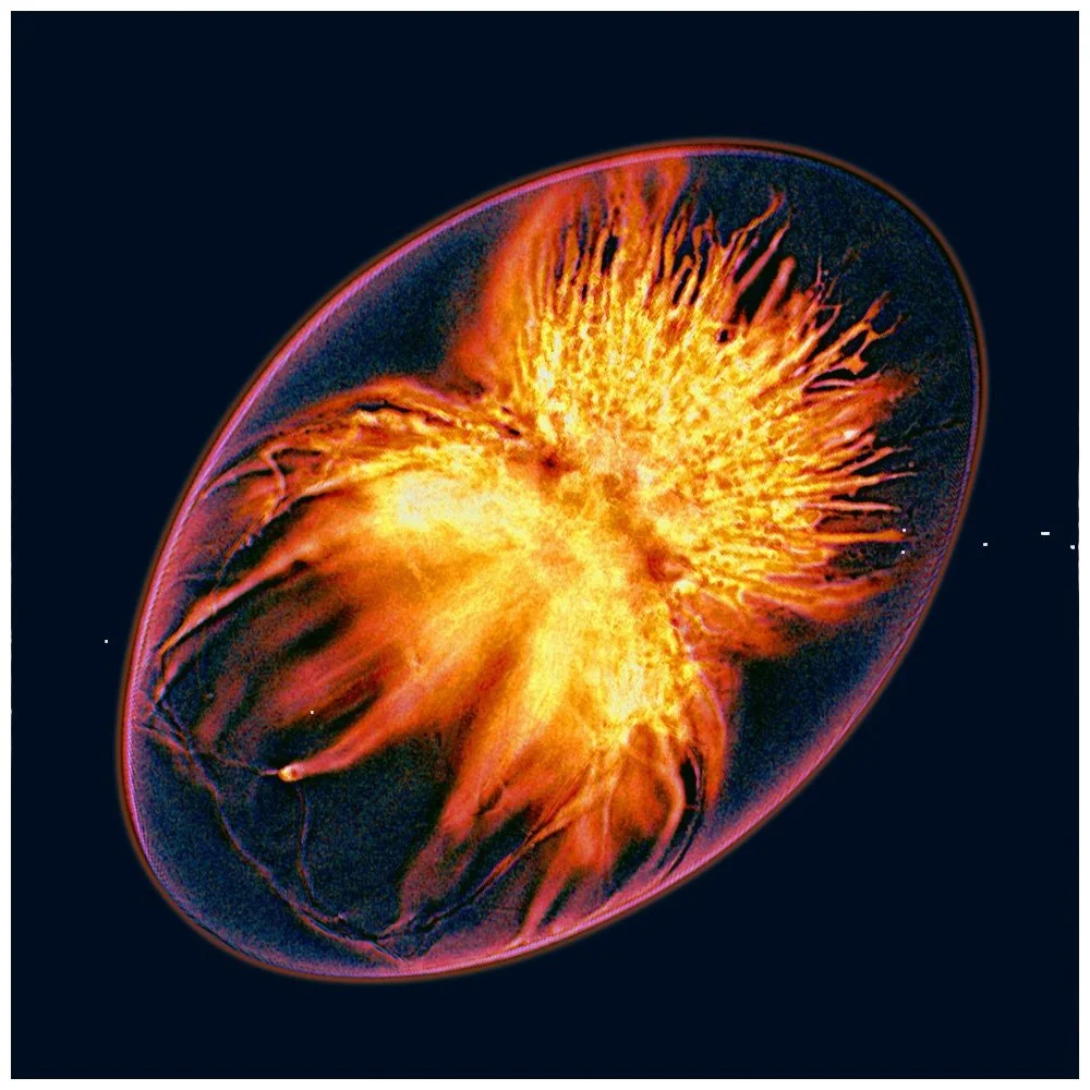 publications-prakash-lab