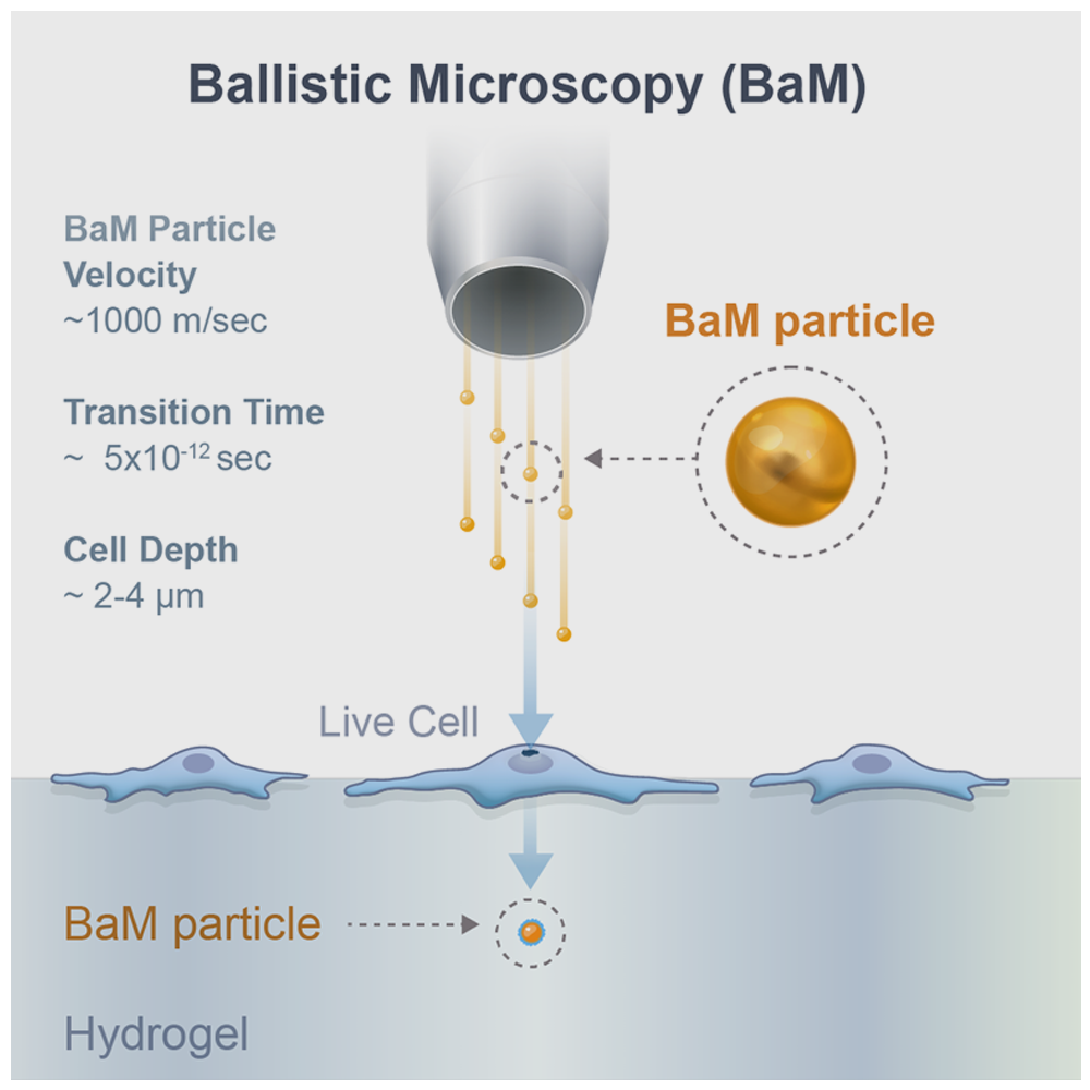 Ballistic Microscopy (BaM)