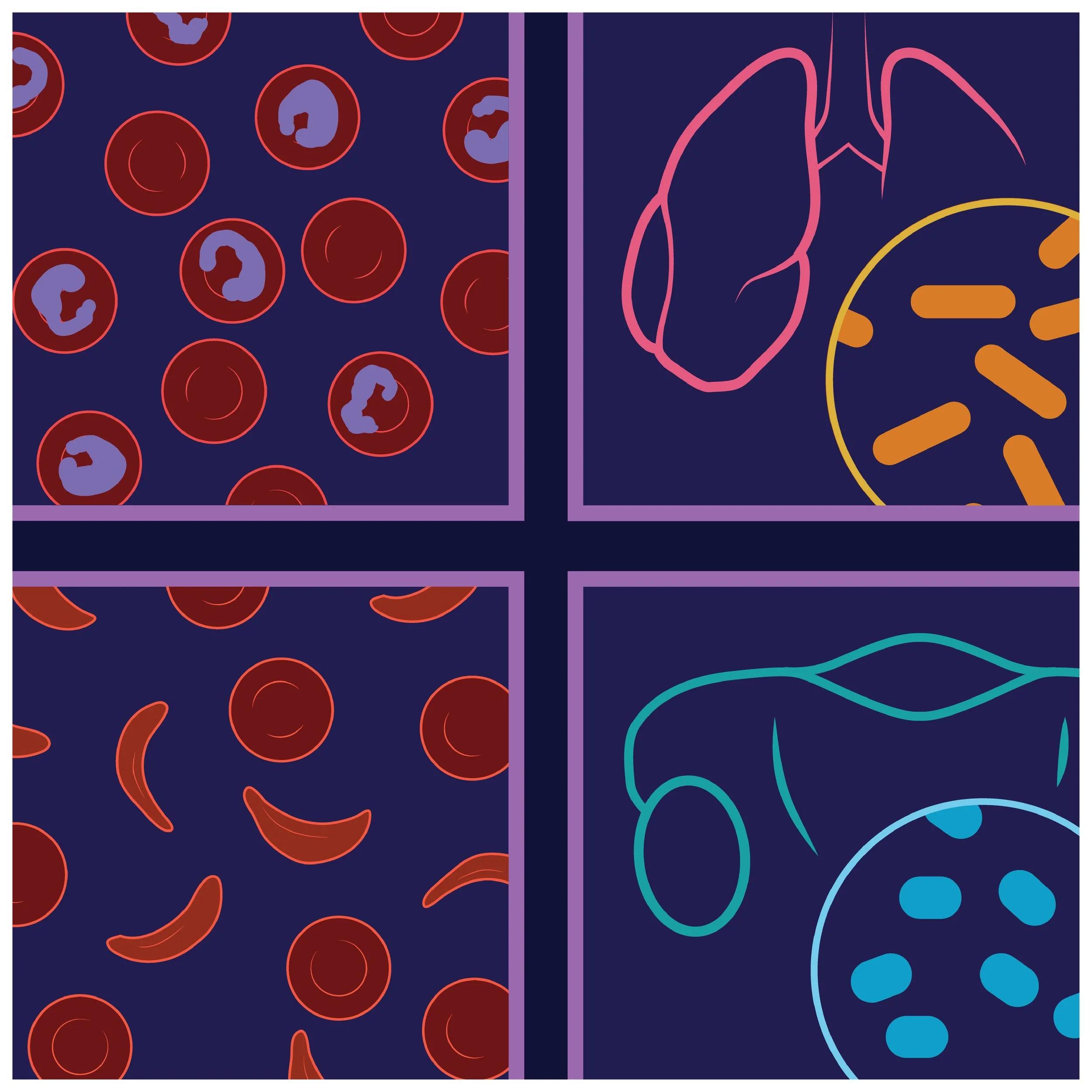 Spectral imaging platform for infectious disease diagnosis