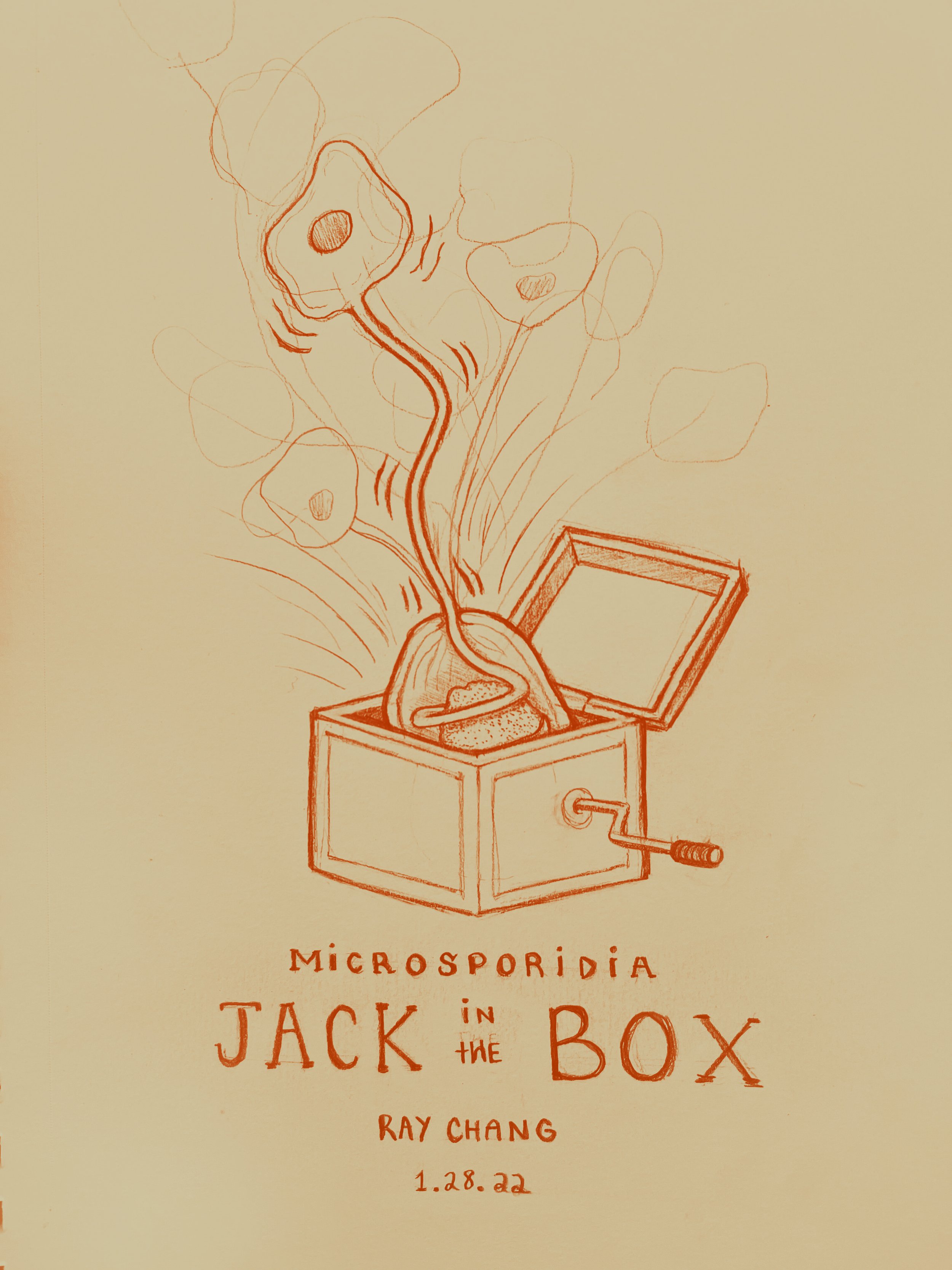 Image from iOS (16) copy.jpg