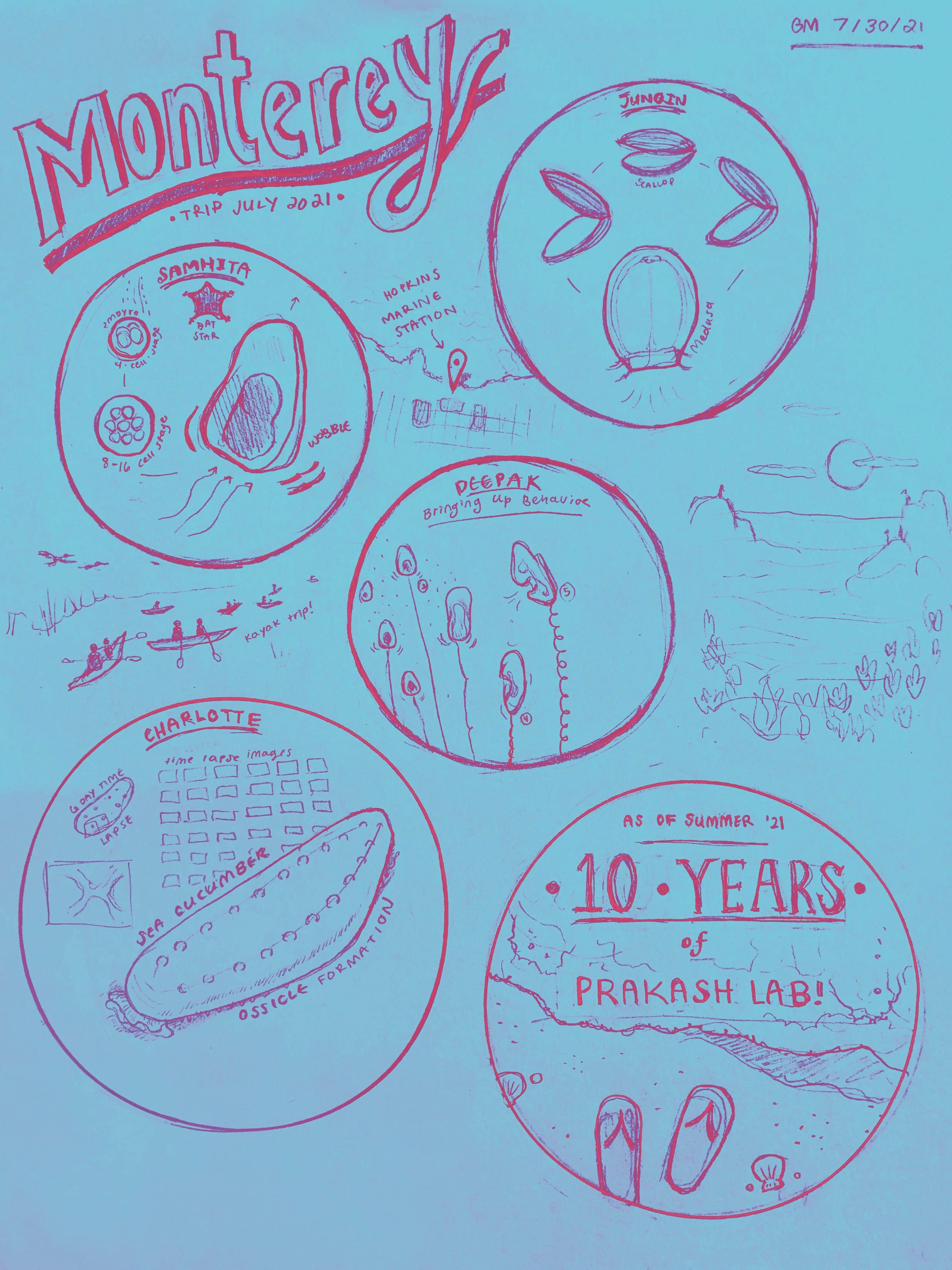 PXL_20210730_225824447 (1).jpg