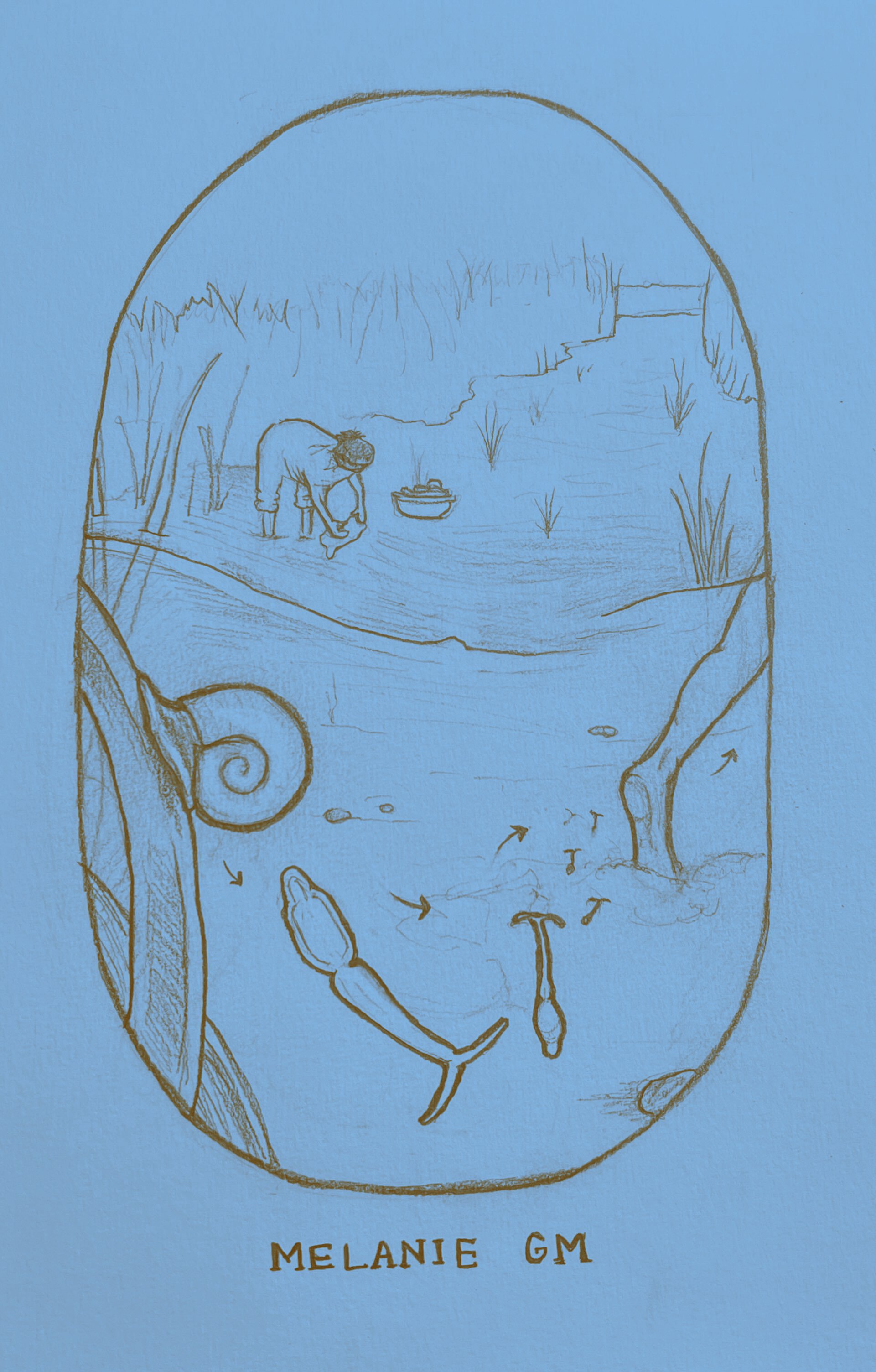 Image from iOS (8).jpg