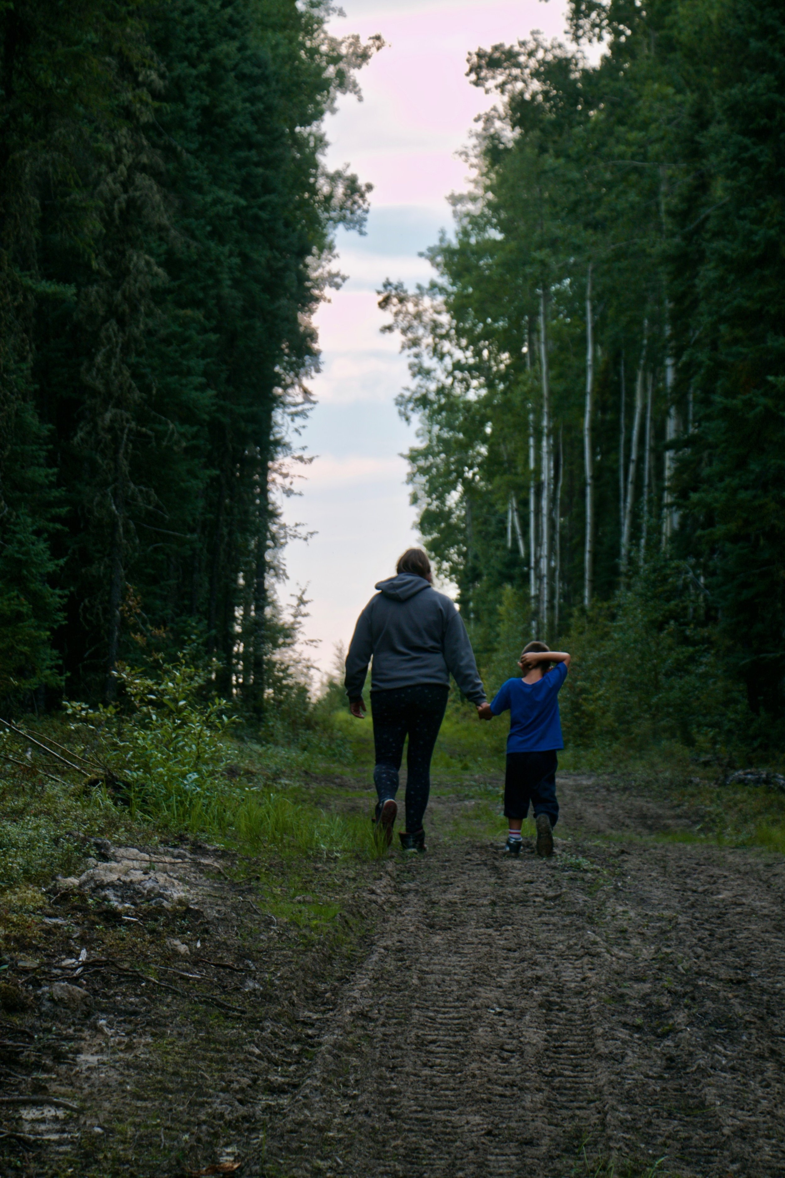 The Impact Assessment as Archive: Historical Approaches to Regulatory Documents from Alberta’s Oil Sands