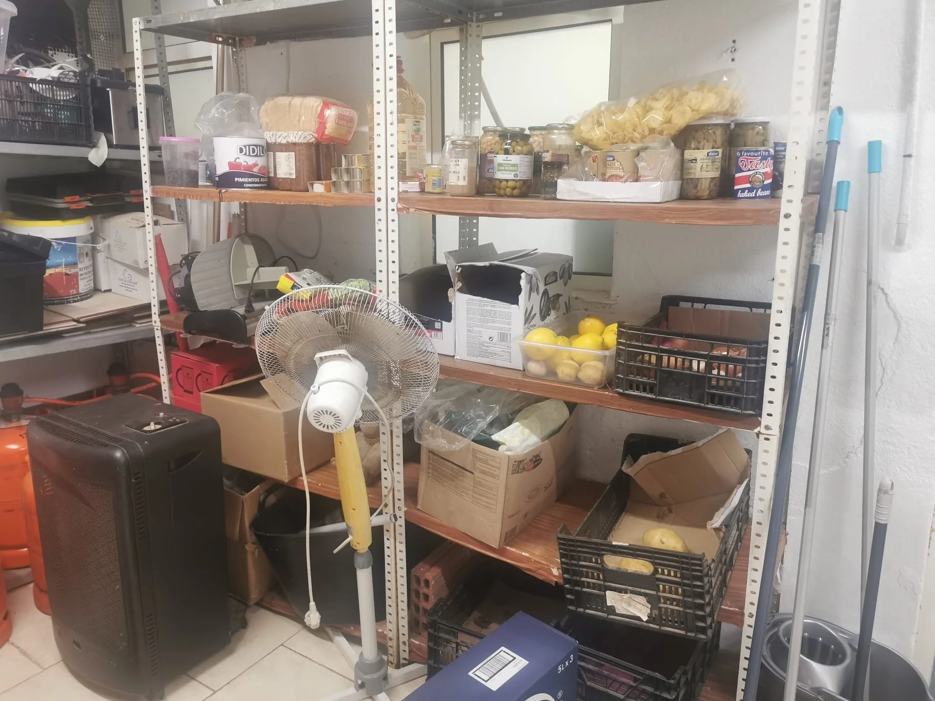 WhatsApp Image 2026-02-02 at 17.26.31(3).jpeg