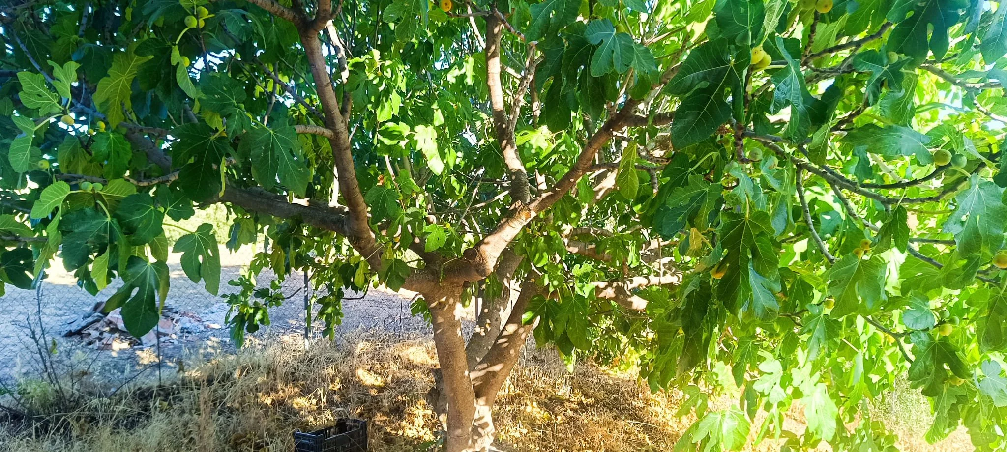 WhatsApp Image 2025-09-14 at 18.20.08(1).jpeg