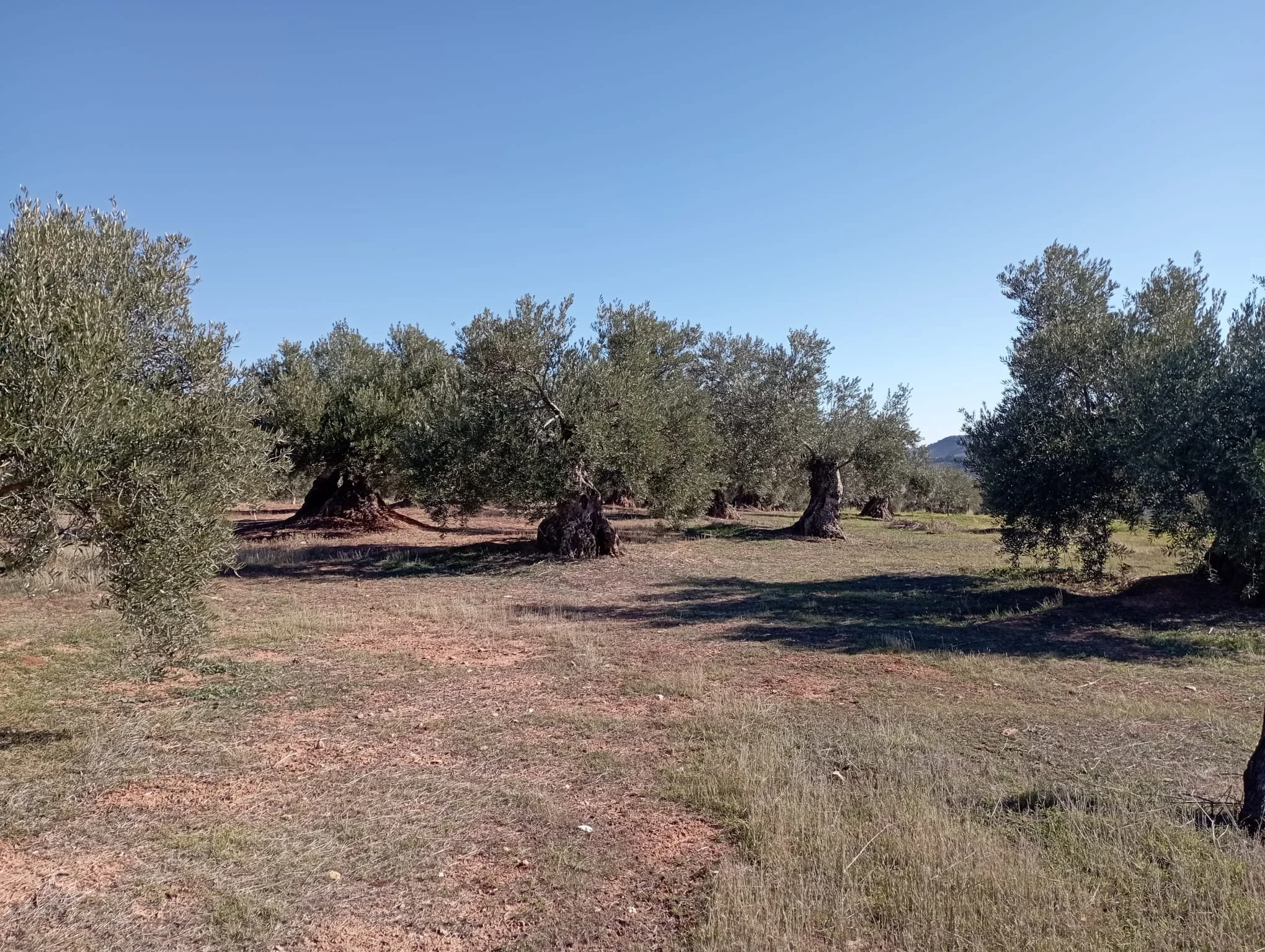 WhatsApp Image 2025-09-14 at 18.20.10.jpeg