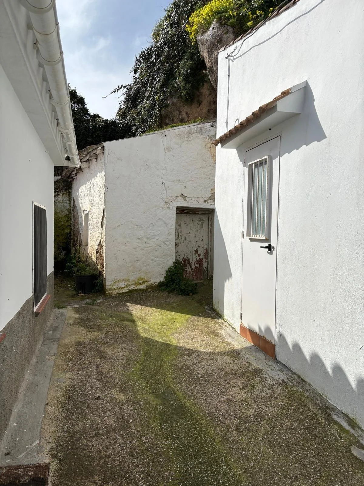 foto5.jpg