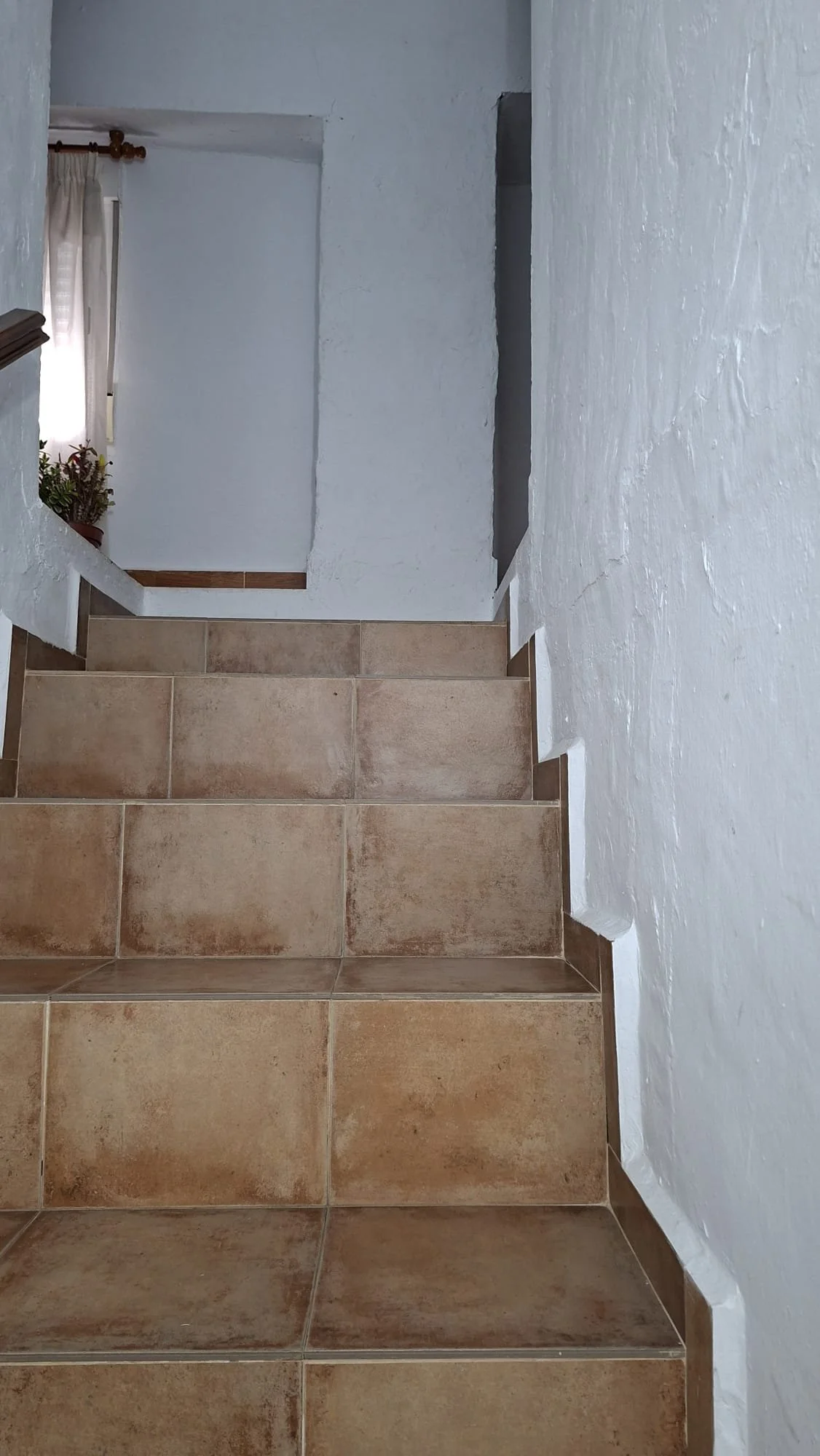 WhatsApp Image 2026-02-02 at 17.48.39(1).jpeg