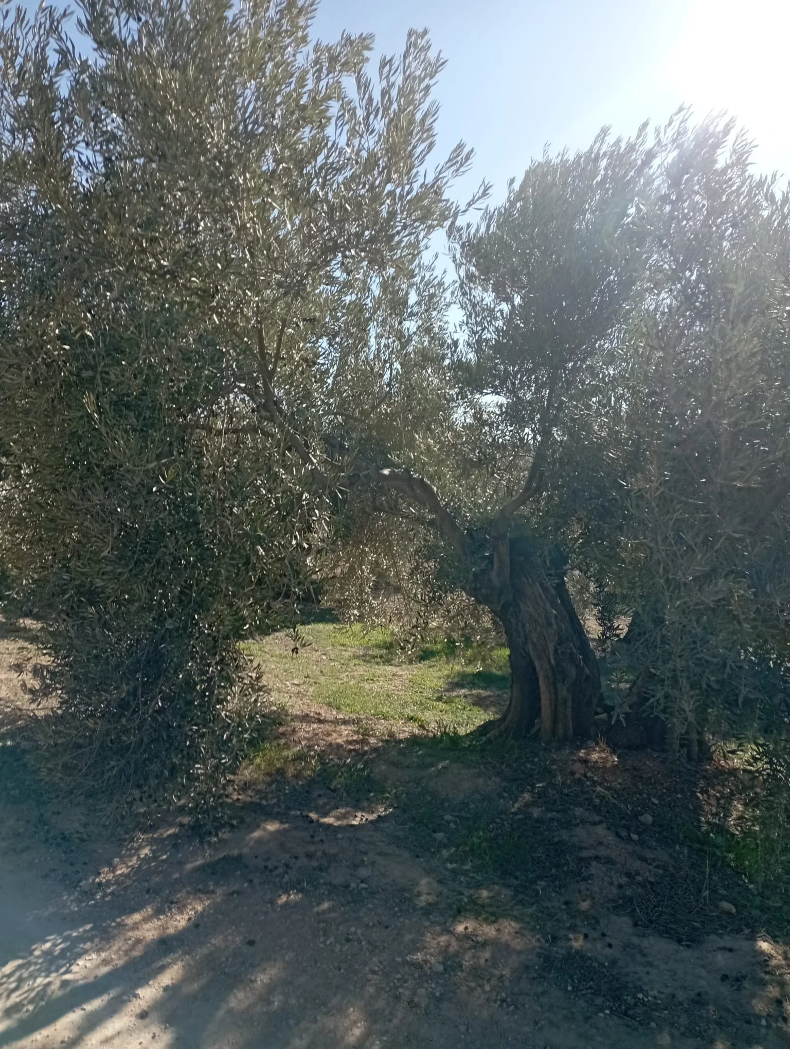 WhatsApp Image 2025-09-14 at 18.20.09(1).jpeg