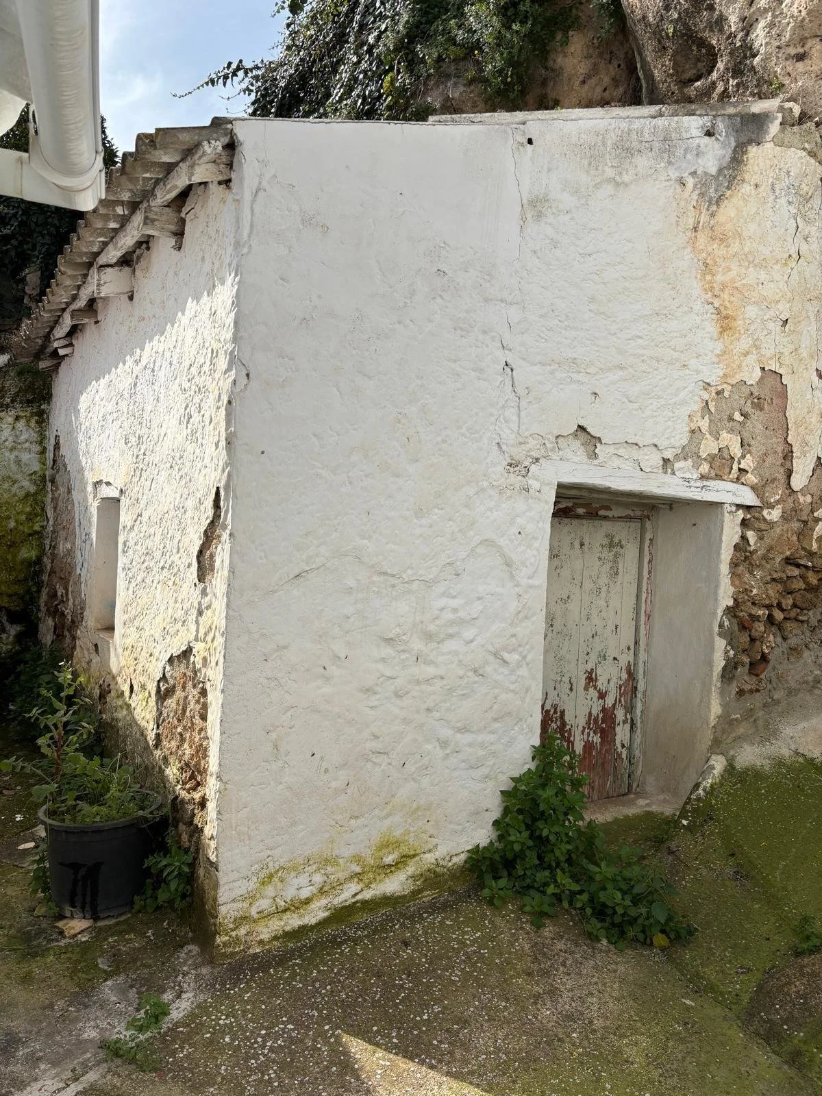 foto6.jpg