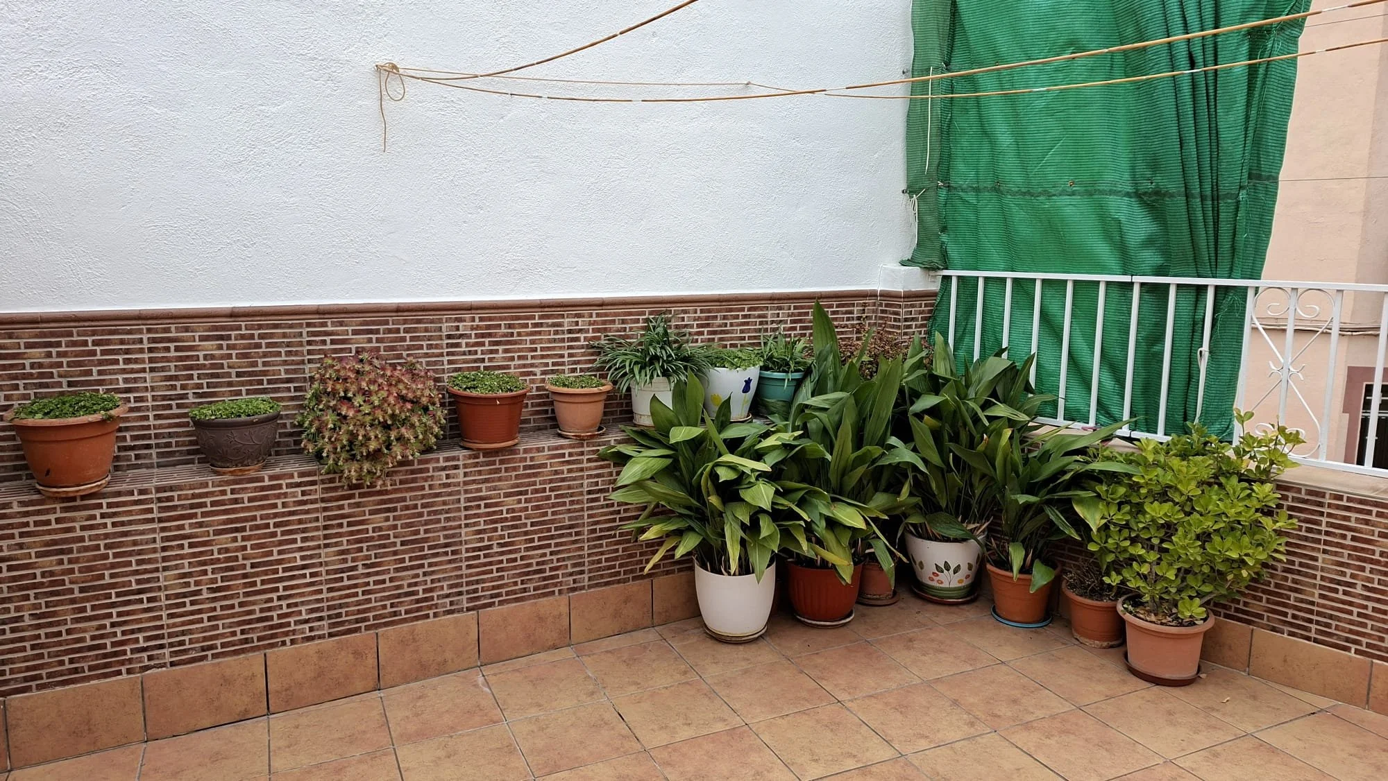 WhatsApp Image 2026-02-02 at 17.48.37(2).jpeg