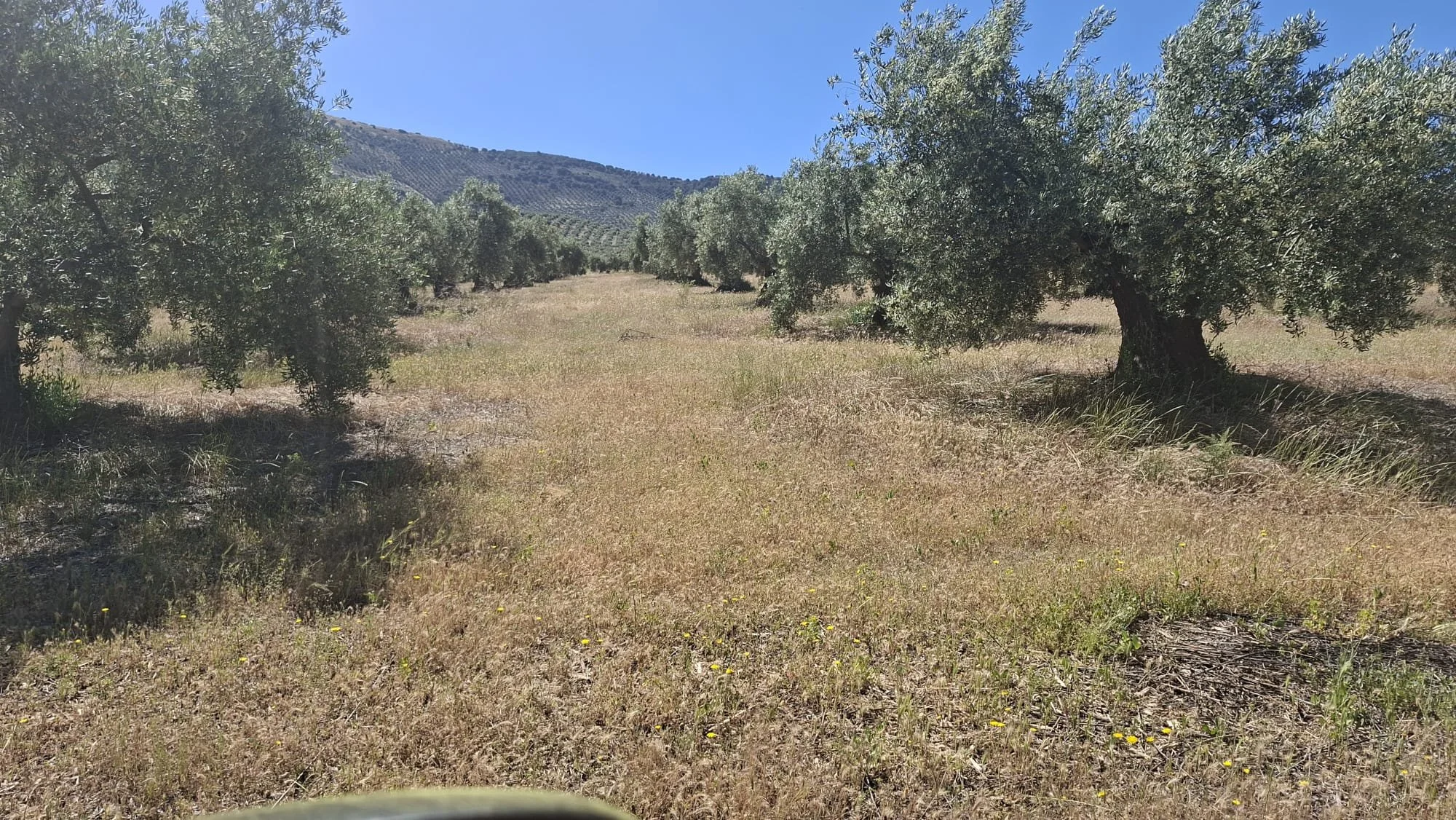 PG224-2026 — Huelma— 91.000€