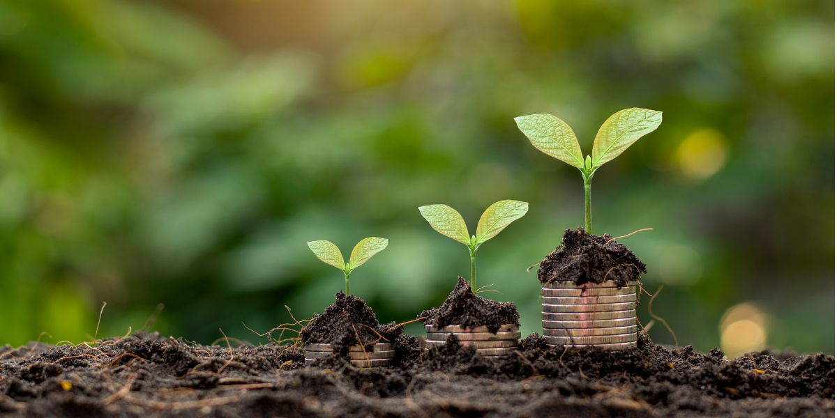 Develop a growth mindset