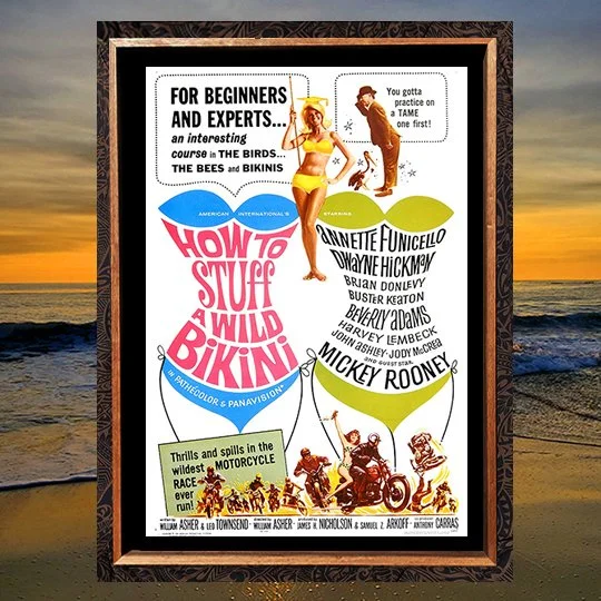 HOW TO TAME A WILD BIKINI