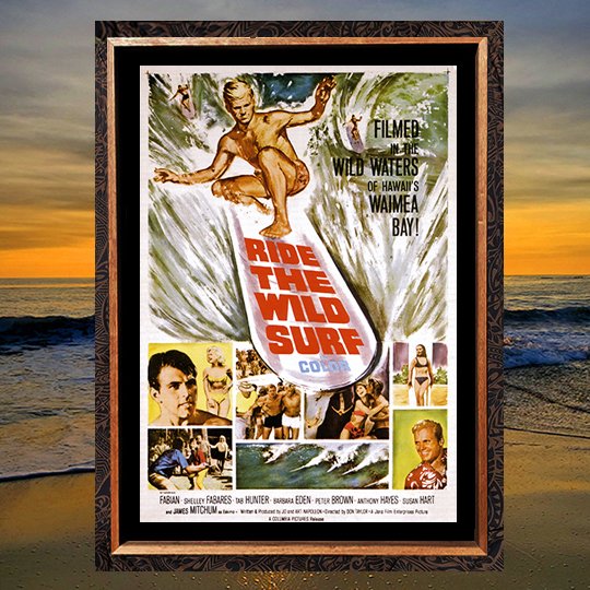 RIDE THE WILD SURF