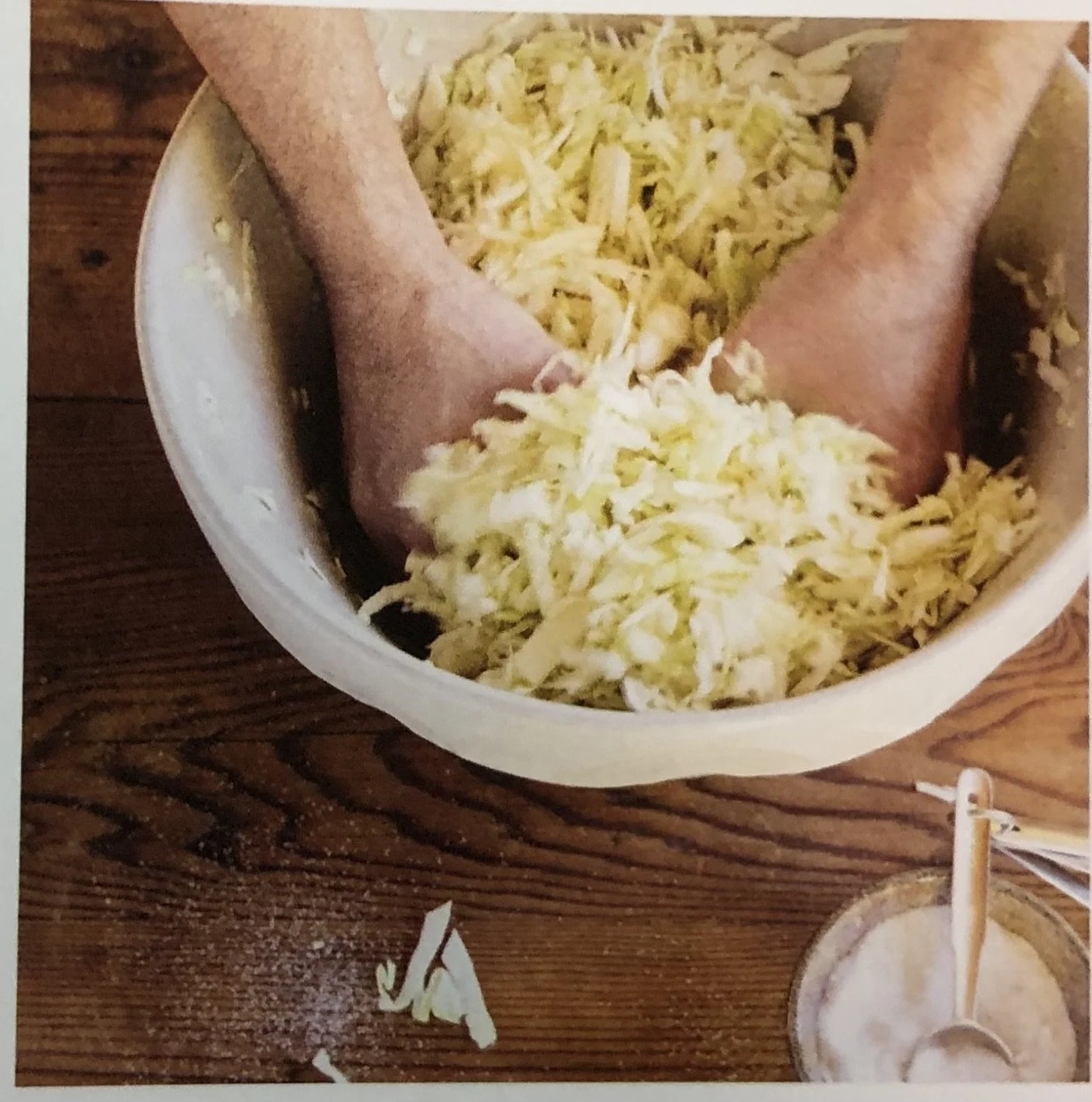 Sauerkraut Workshop