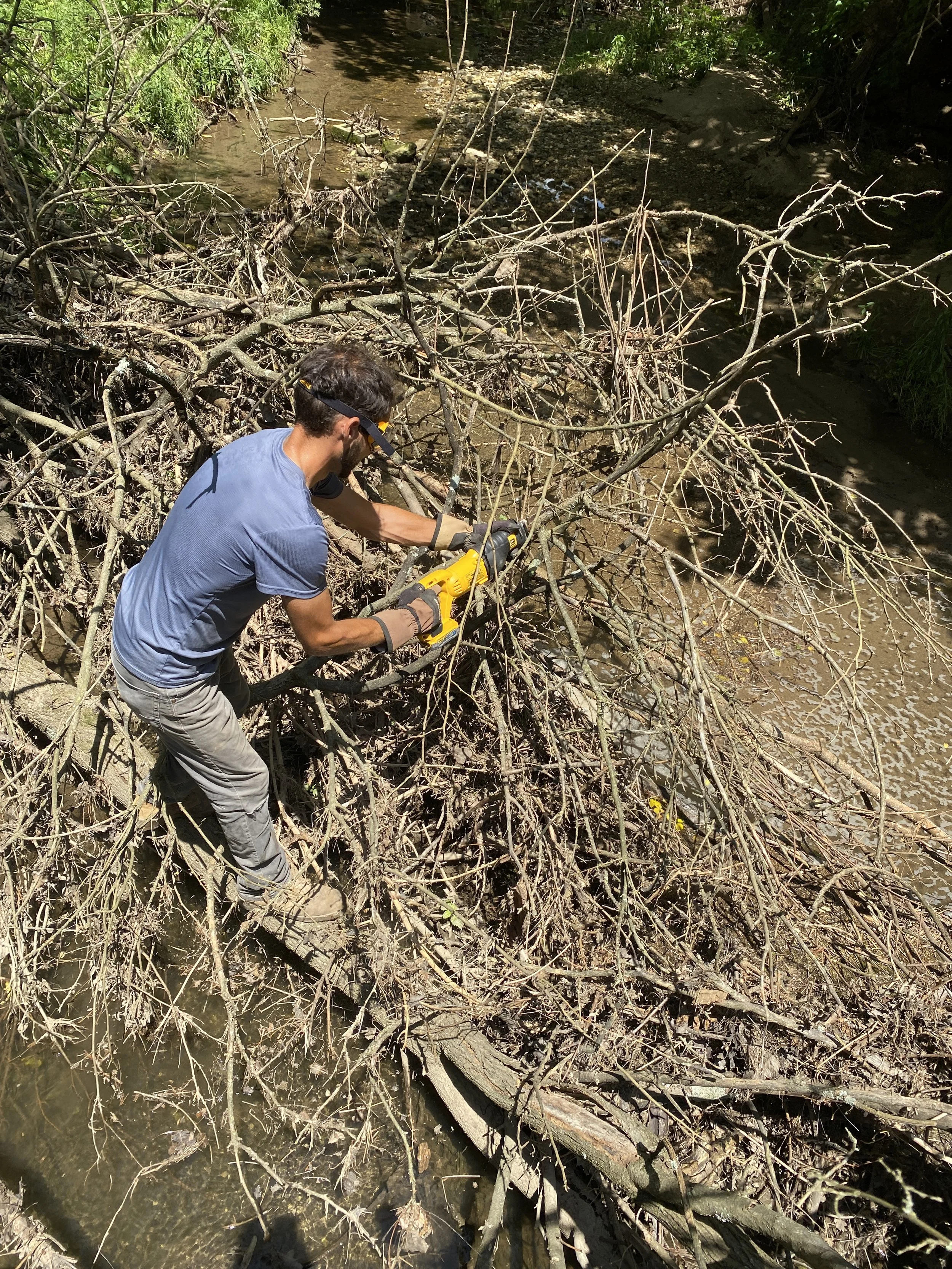 Seed Saturday and Volunteer Sign-up day 