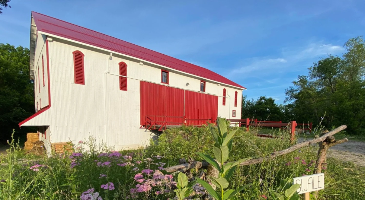 Making A Home Apothecary: Herbalism as a Community Skill