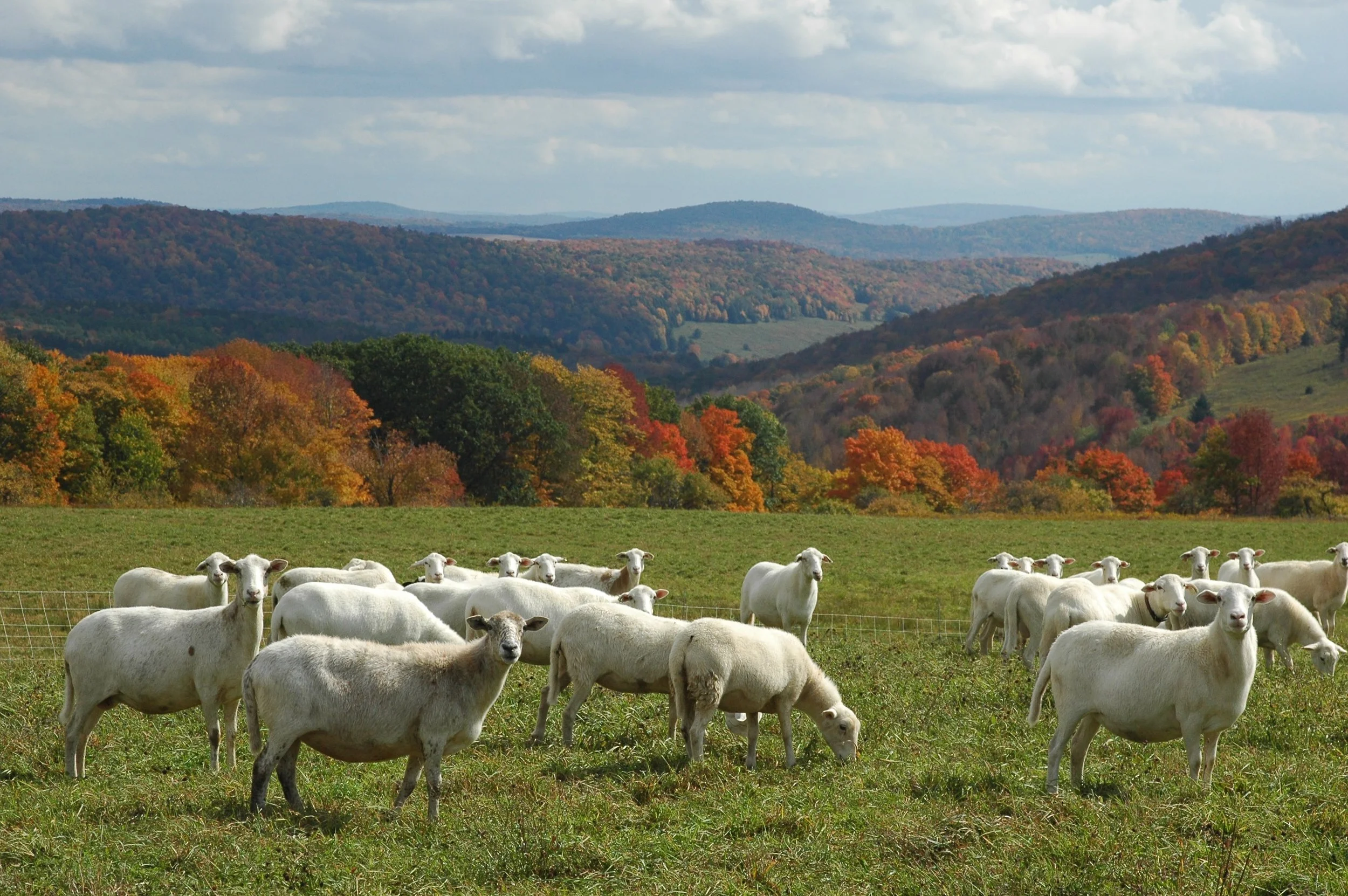 2026 Funded Projects