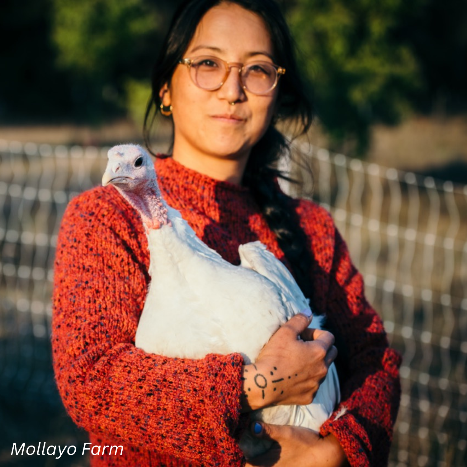 Mollayo Farm (1).png