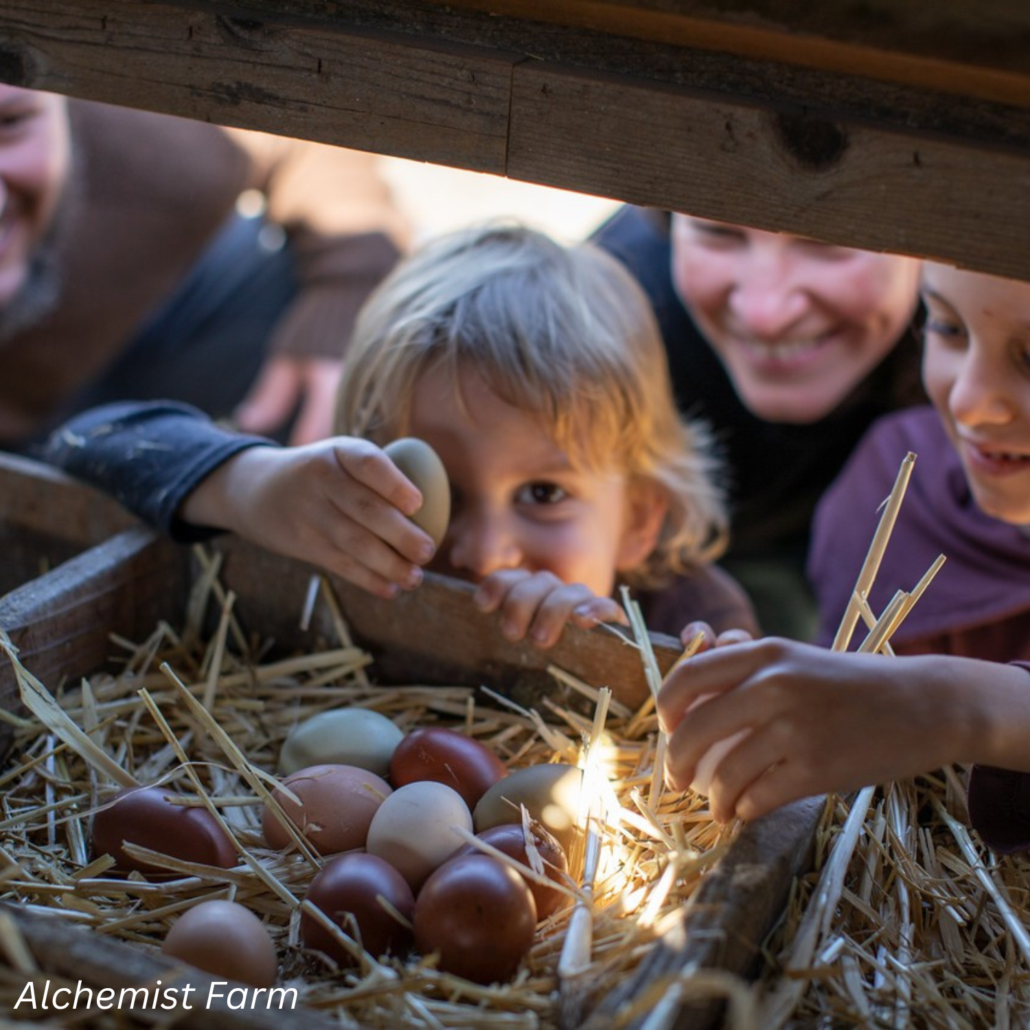 FACT’s Spring 2026 Highlights