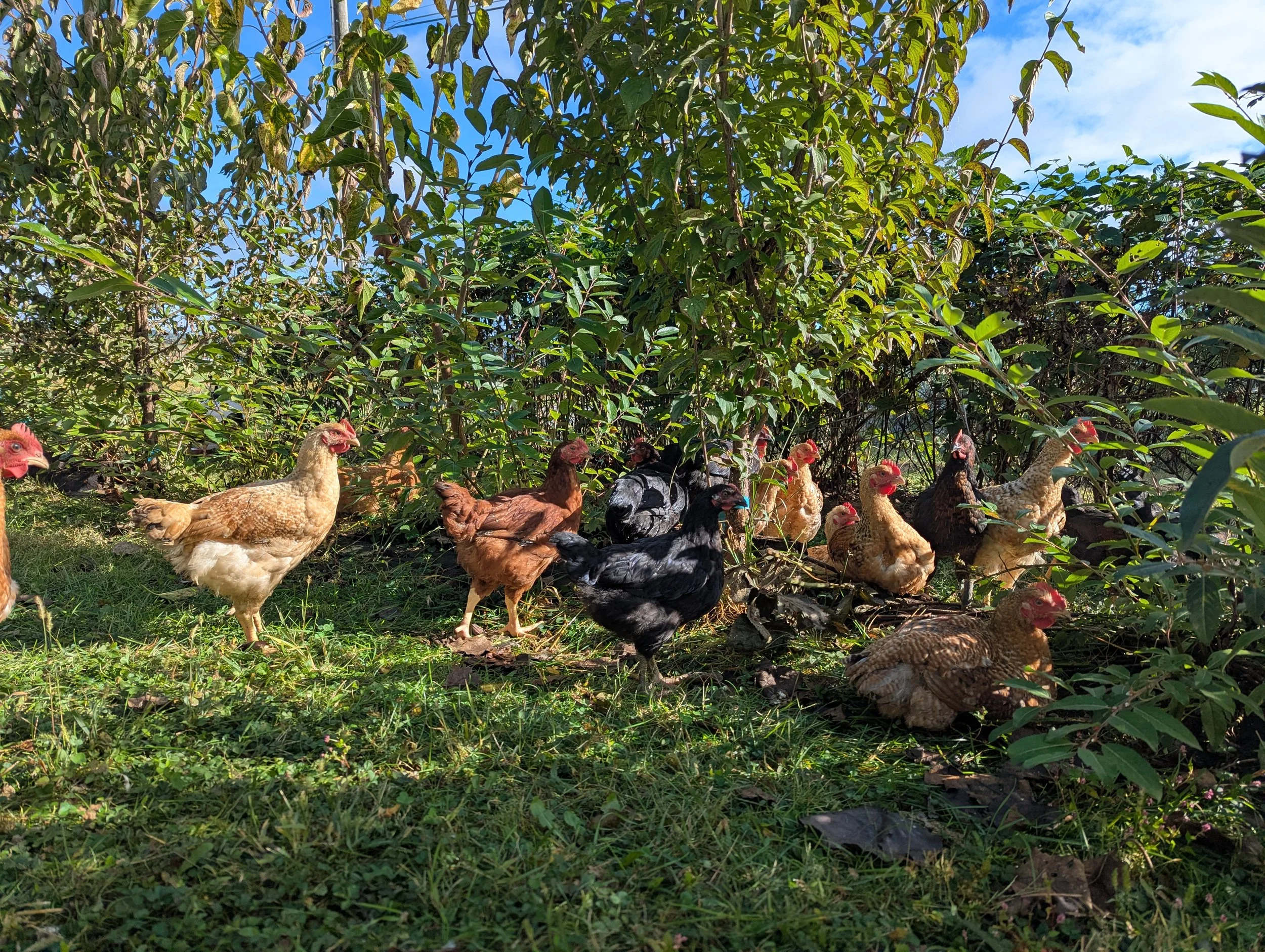 Announcing our 2026 Fund-a-Farmer Grantees!