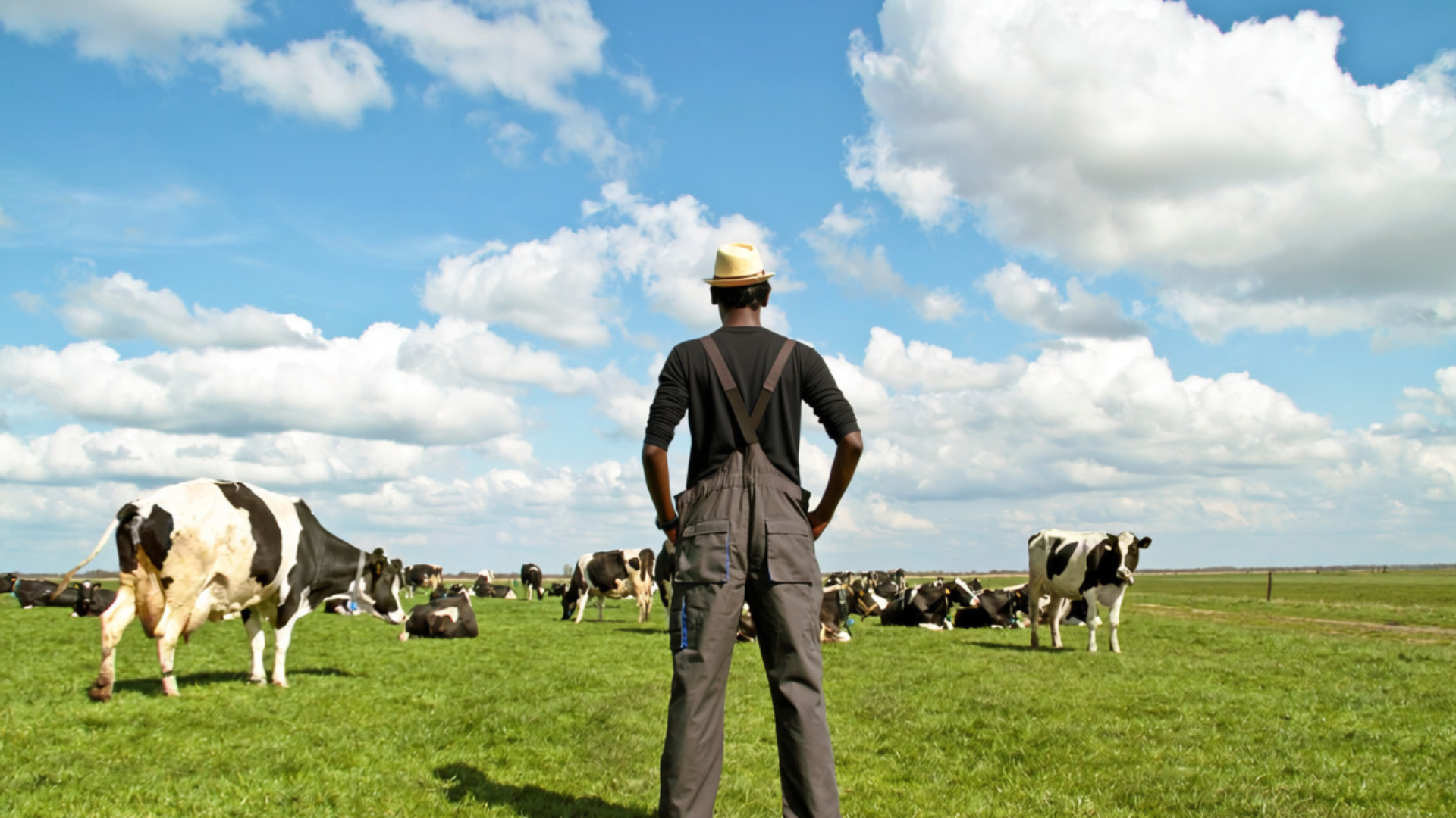 Farmland Under Threat- How The Conservation Fund is Saving Farmland and Putting it in Hands of Farmers