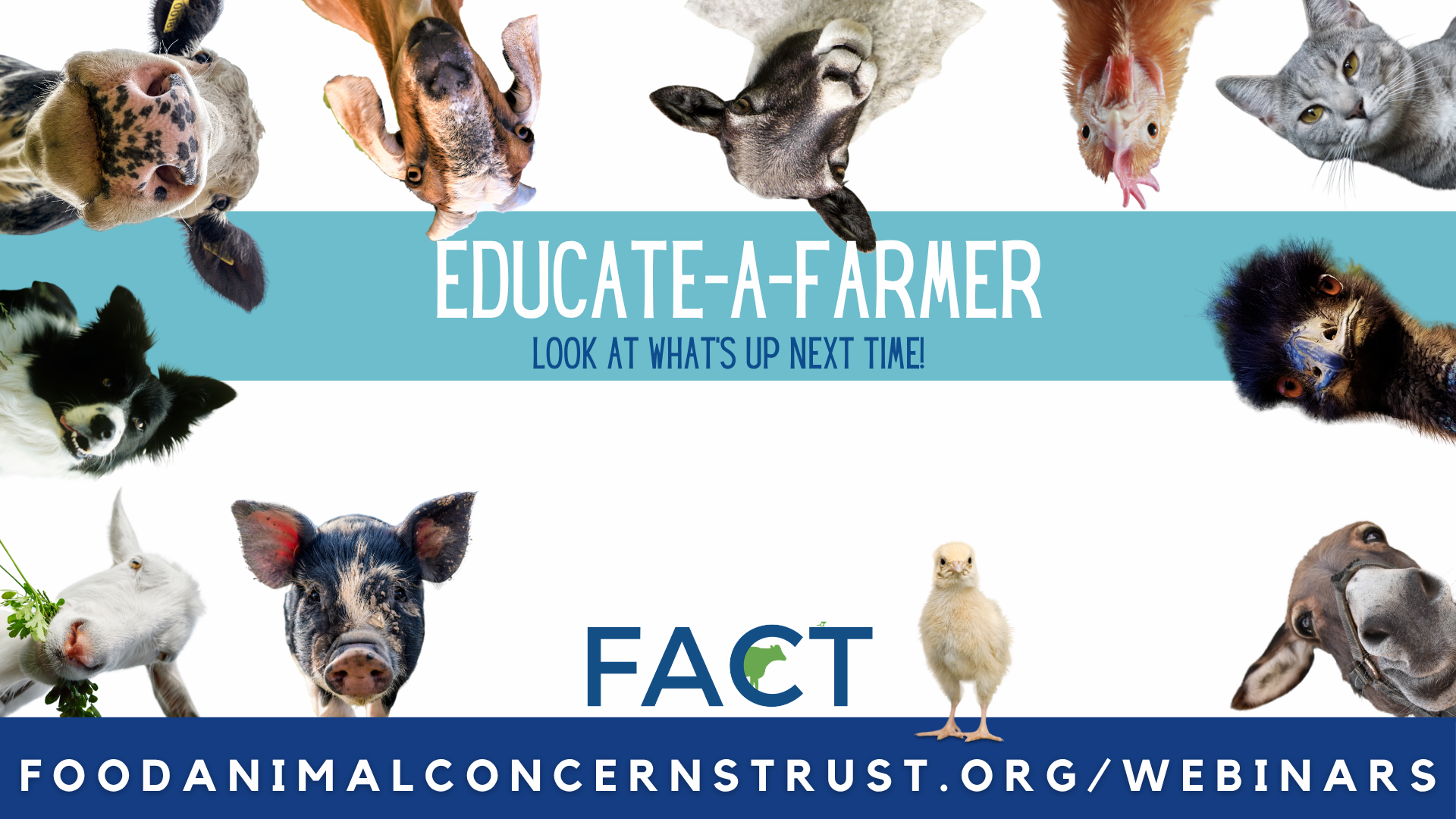 FACT’s 2026/27 Season of Free Farmer Webinars is Underway