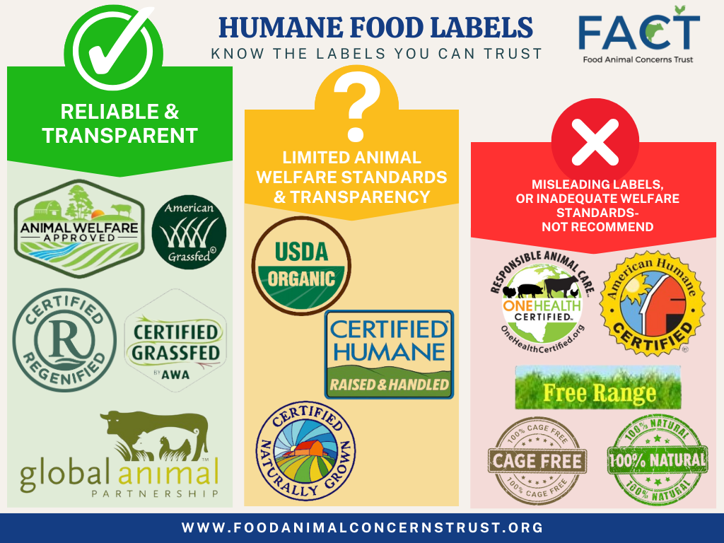 Dairy FACT Sheet — FACT