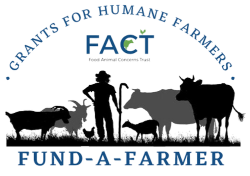 Untitled+design+%283%29 image