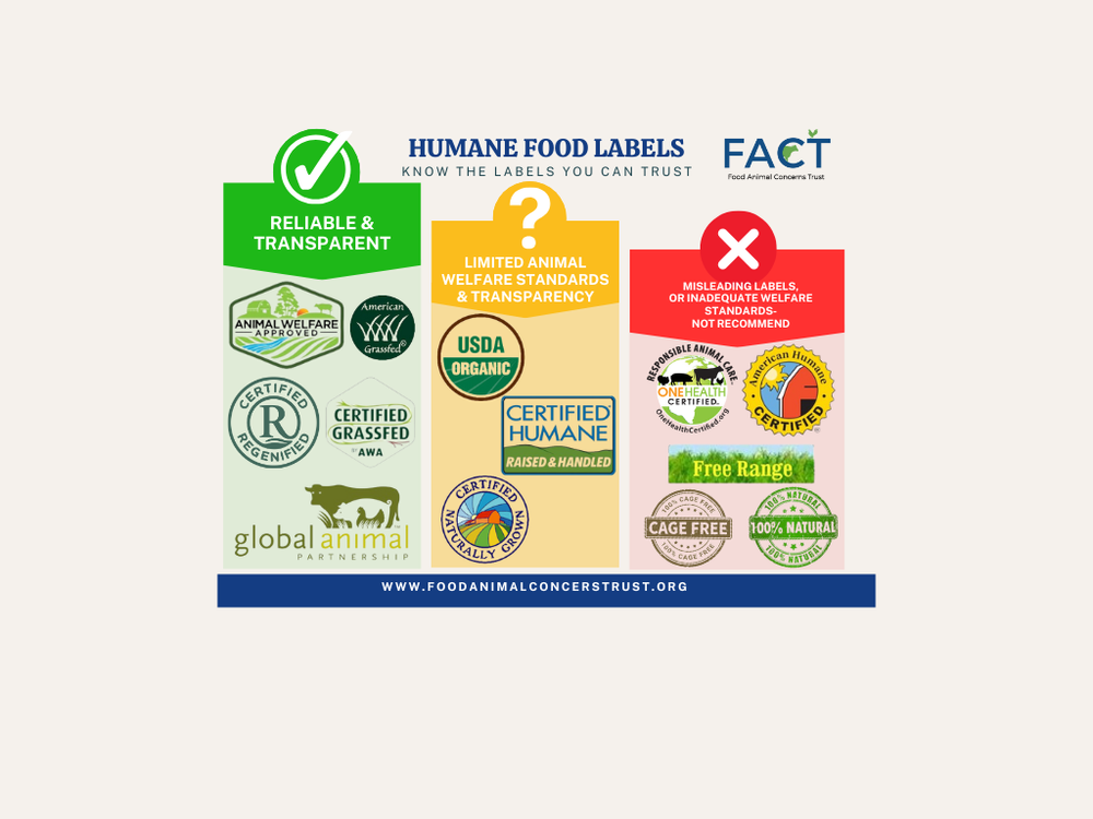 Consumer Resources — FACT
