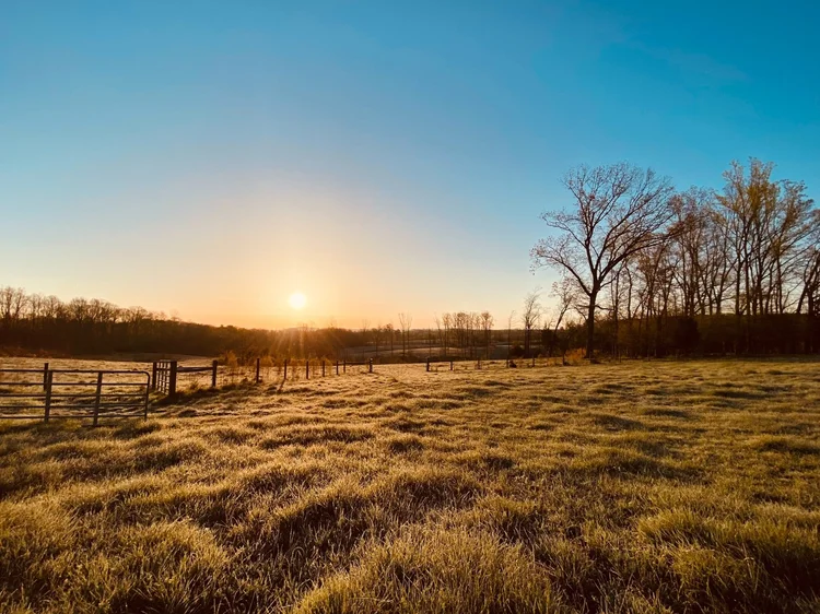 Windy Hill Farms, LLC